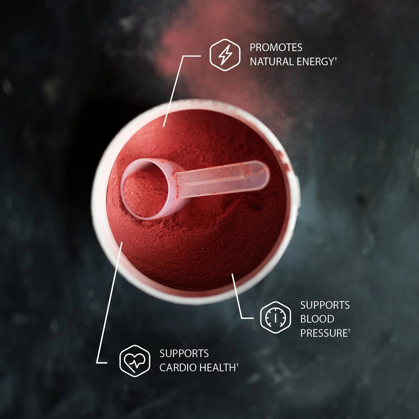 Snap Supplements Nitric Oxide Booster and Beet Powder
