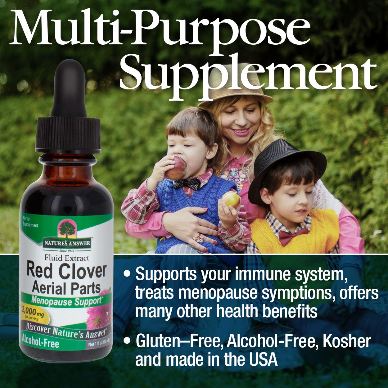 Nature's Answer Red Clover Extract Supplement Alcohol Free 1 Oz (Pack of 4) | Natural Mood Support Nature's Answer