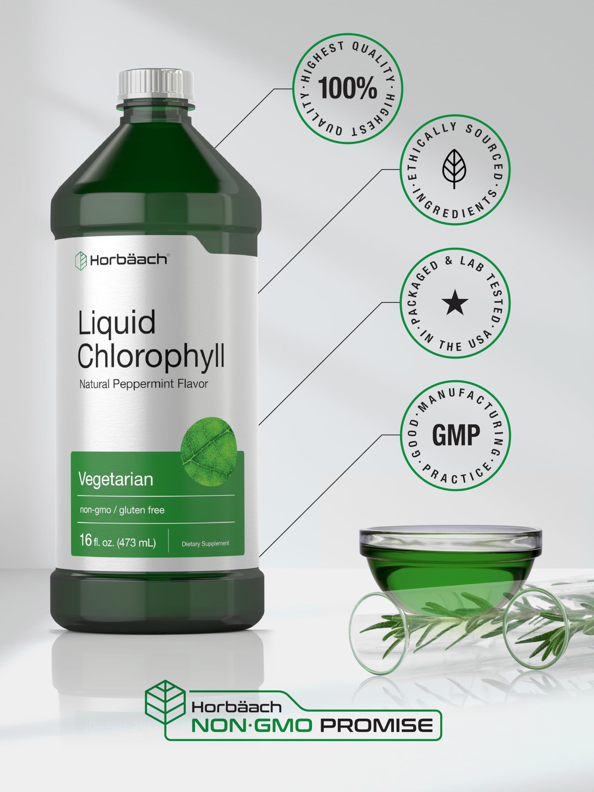 Chlorophyll Liquid Drops 100mg | 32 oz (2 x 16 oz Bottles) | Natural Peppermint Flavor Horbäach