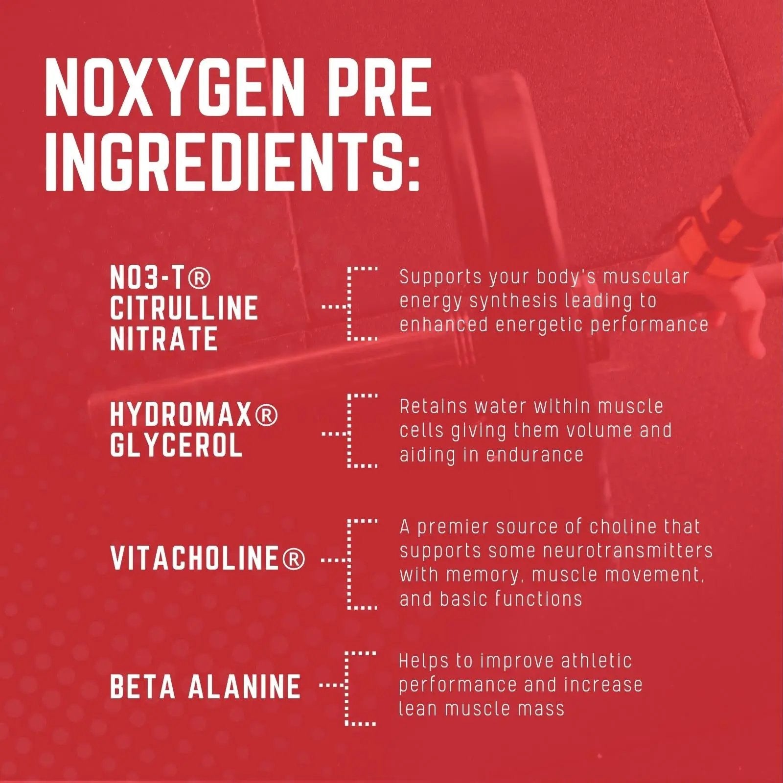 Purus Labs NOXYGEN PREWORKOUT Powder, 30 Servings (Gummy Bear)