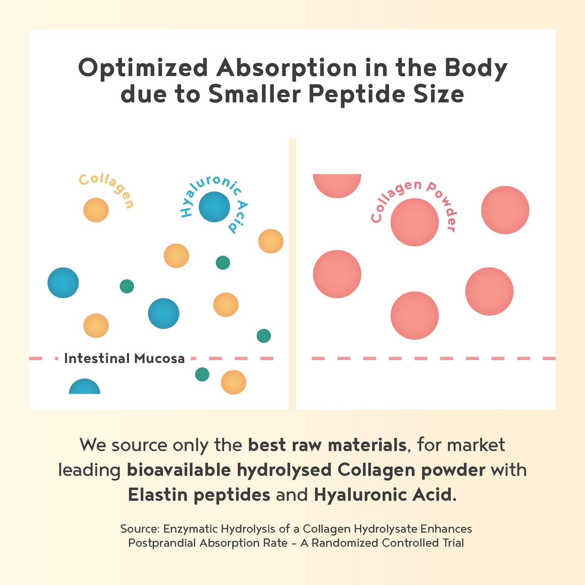 Vegan Collagen Powder with Hyaluronic Acid - Unflavoured 400g Powder Alpha Foods