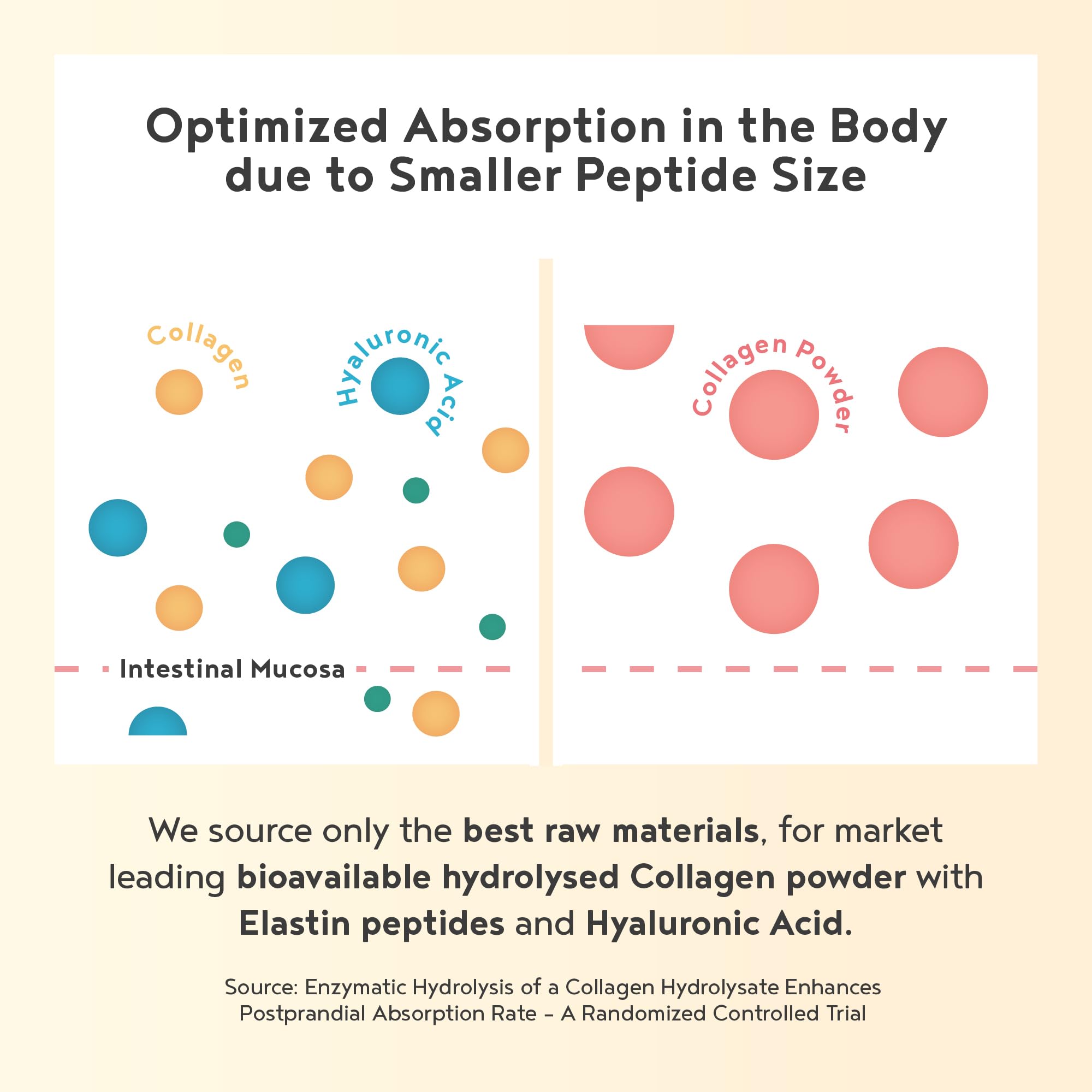 Vegan Collagen Powder with Hyaluronic Acid - Unflavoured 400g Powder Alpha Foods