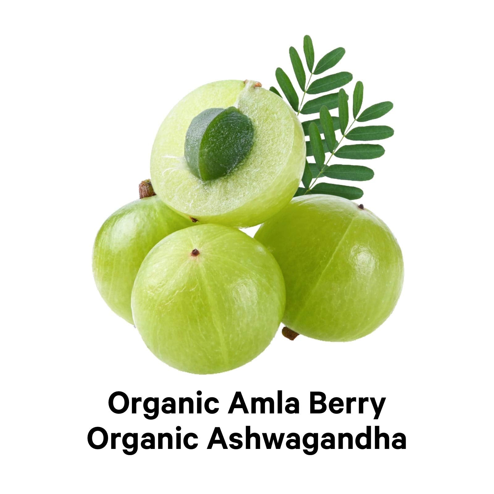 Codeage Multi Collagen Protein Capsules, Type I, II, III, V, X, Grass Fed & Hydrolyzed Collagen Pills Supplement Codeage