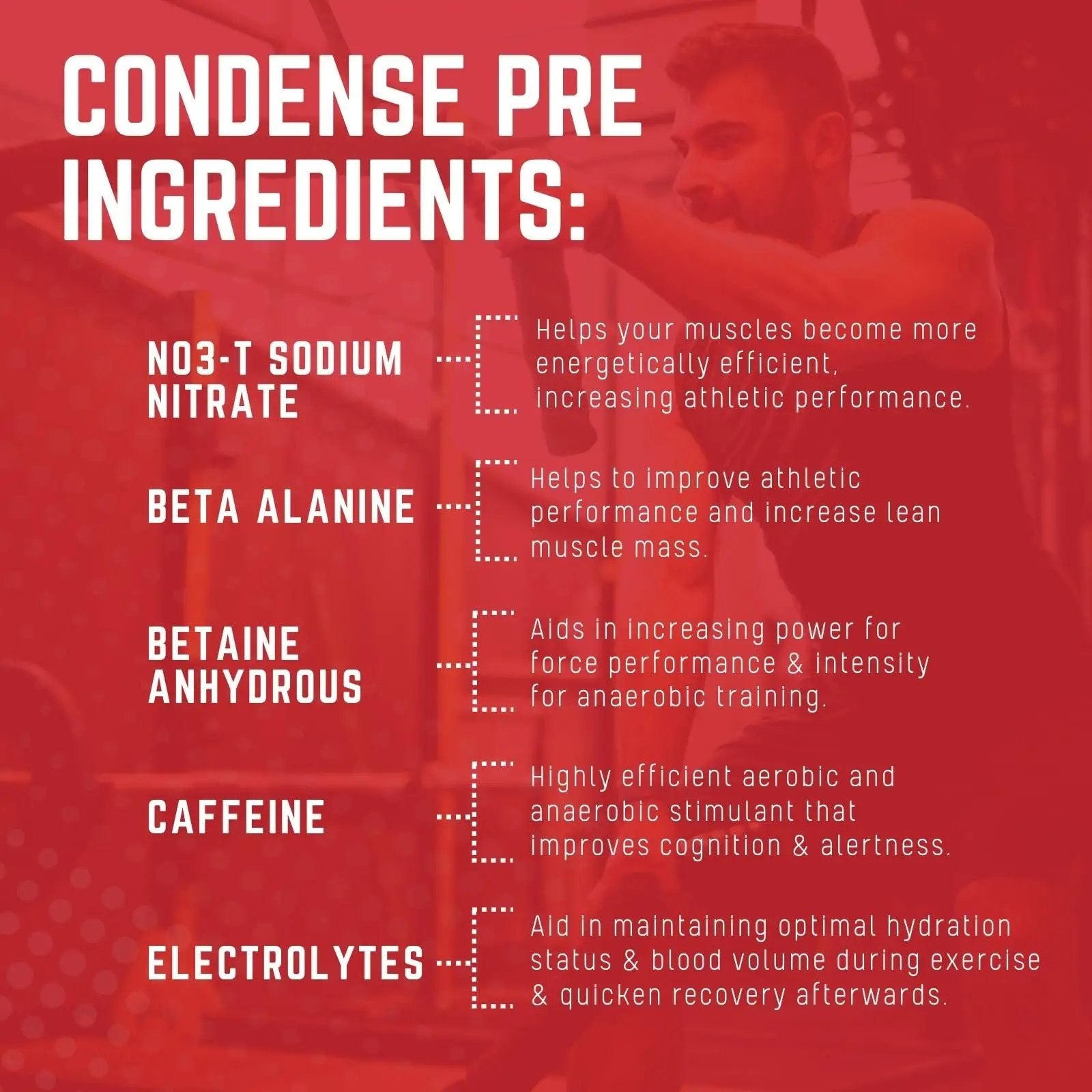 Purus Labs CONDENSE PreWorkout Powder, 40 Servings (Crisp Green Apple) Purus Labs