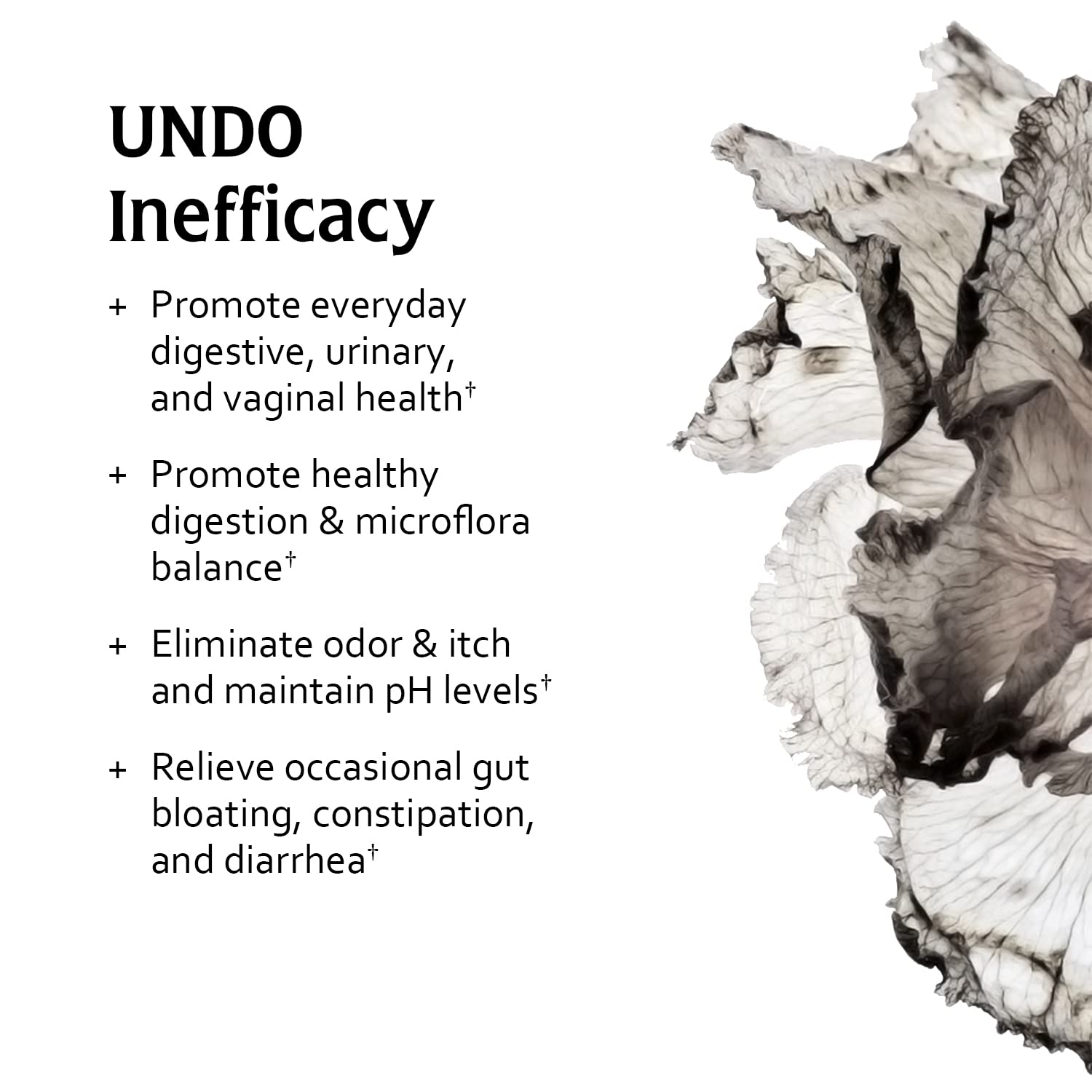 Undone By Nature Probiotic for Women, 50 Billion CFU Women's Probiotics with Prebiotics Undone By Nature