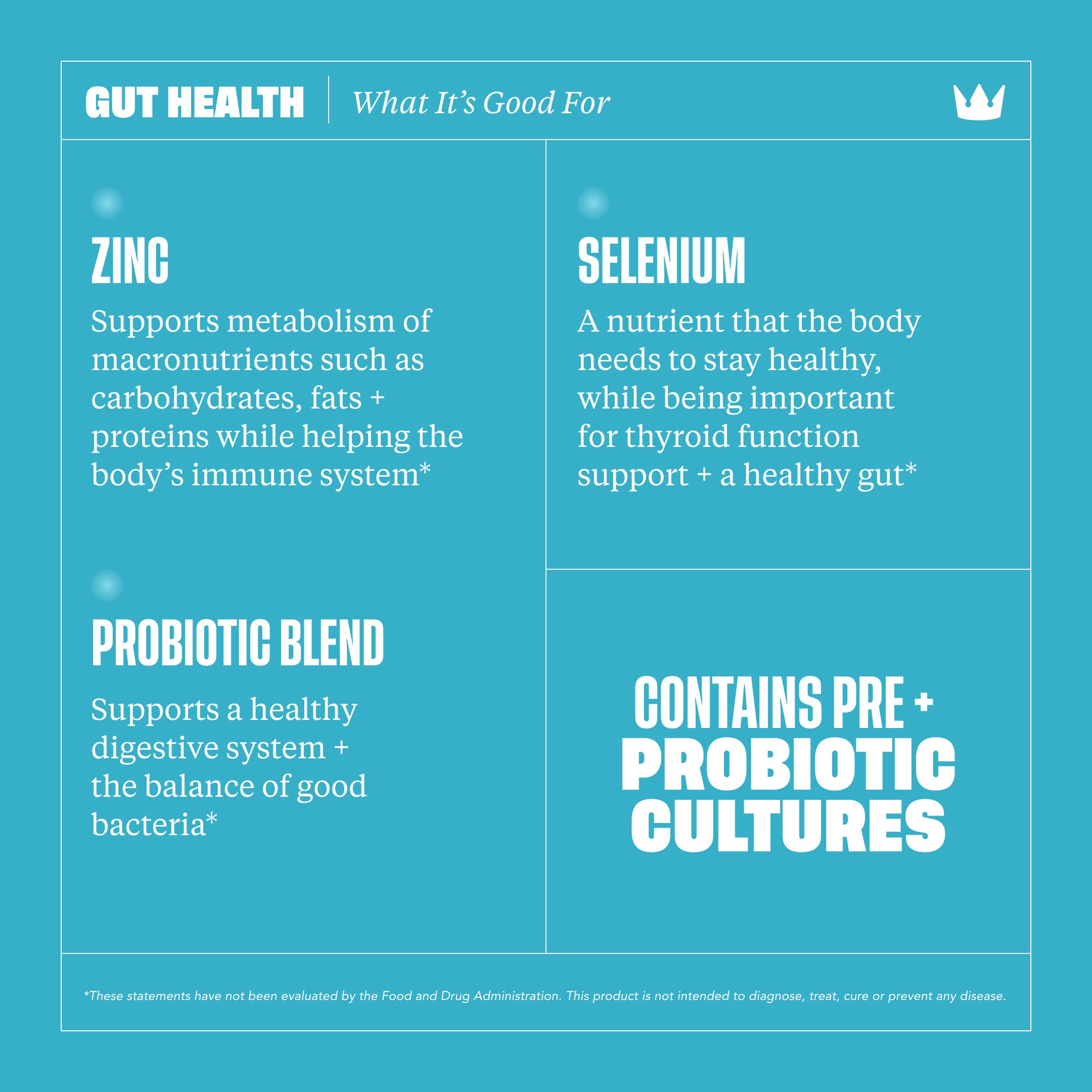 Health By Habit Gut Health Supplement (60 Capsules) - Contains 1.5 Billion probiotic Health By Habit