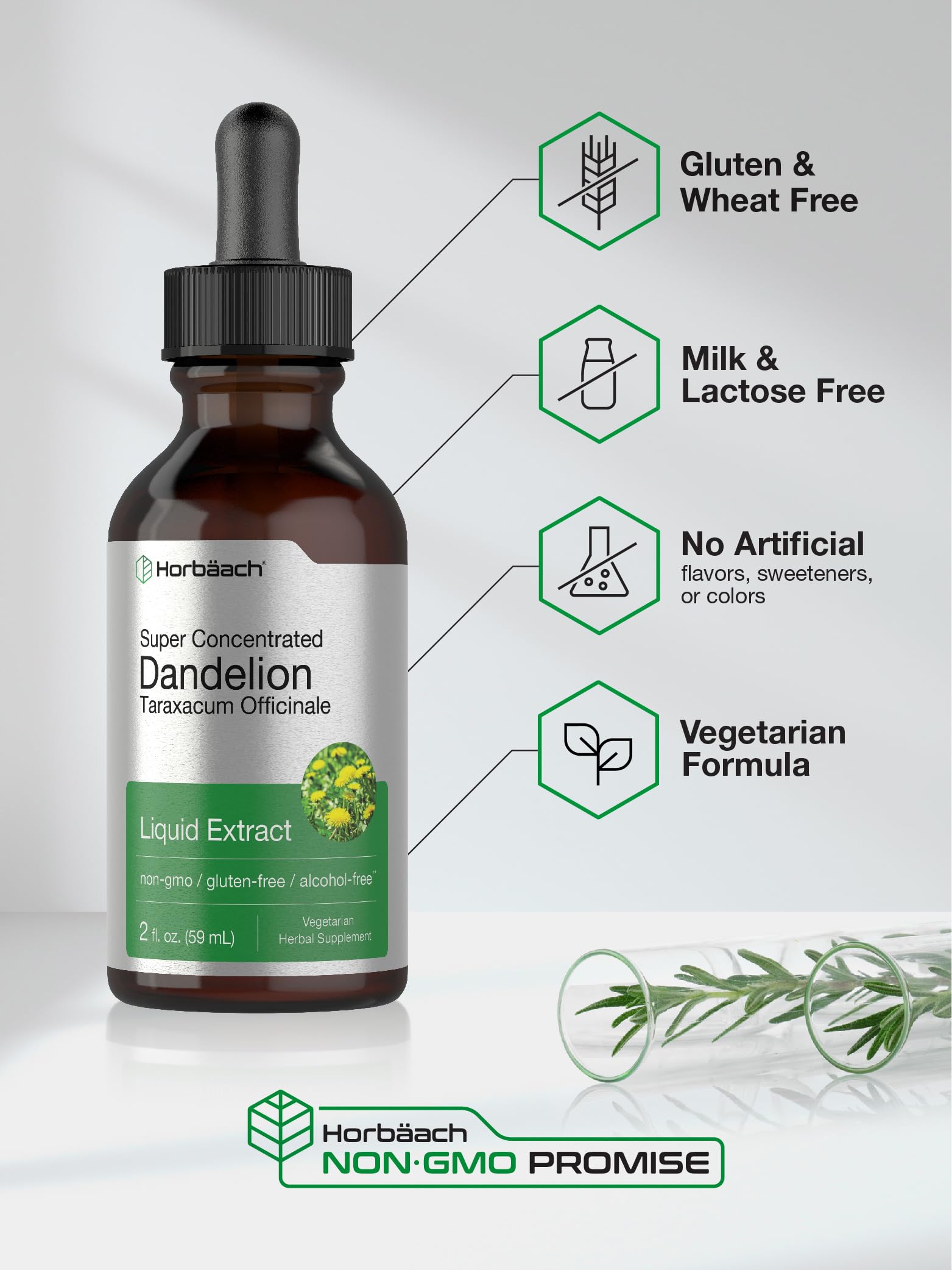 Dandelion Root Extract | 2 fl oz | Super Concentrated | Alcohol Free Liquid Tincture Horbäach