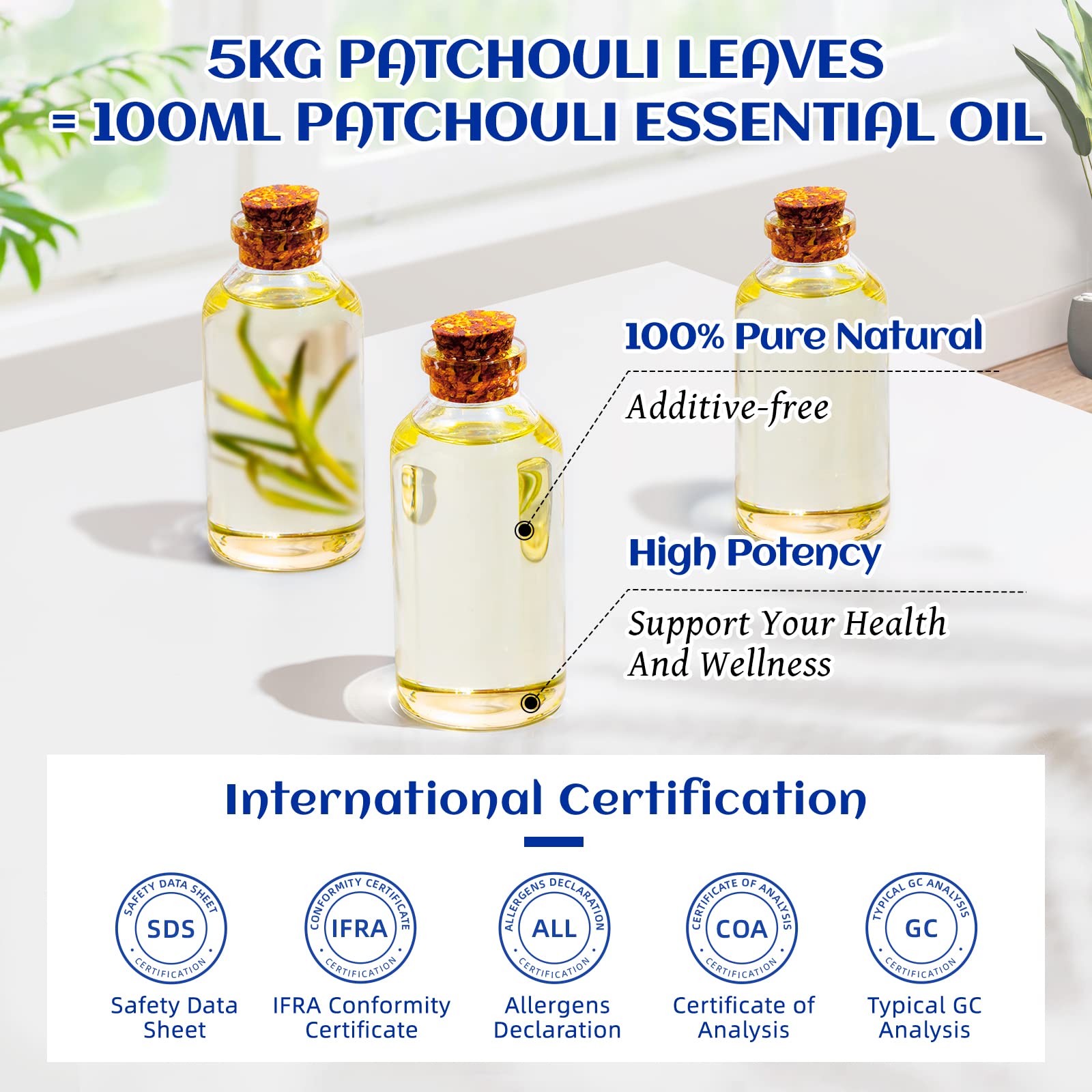 HIQILI Patchouli Essential Oil 100ML, Pure Natural, for Perfume Making, Diffuser and Skin HIQILI