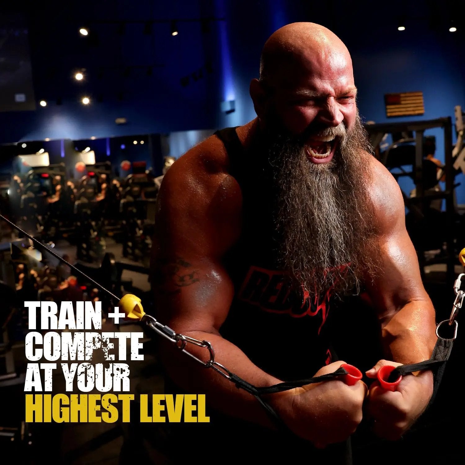 REDCON1 Total War Pre Workout - L Citrulline, Malic Acid, Green Tea Leaf Extract for Pump REDCON1