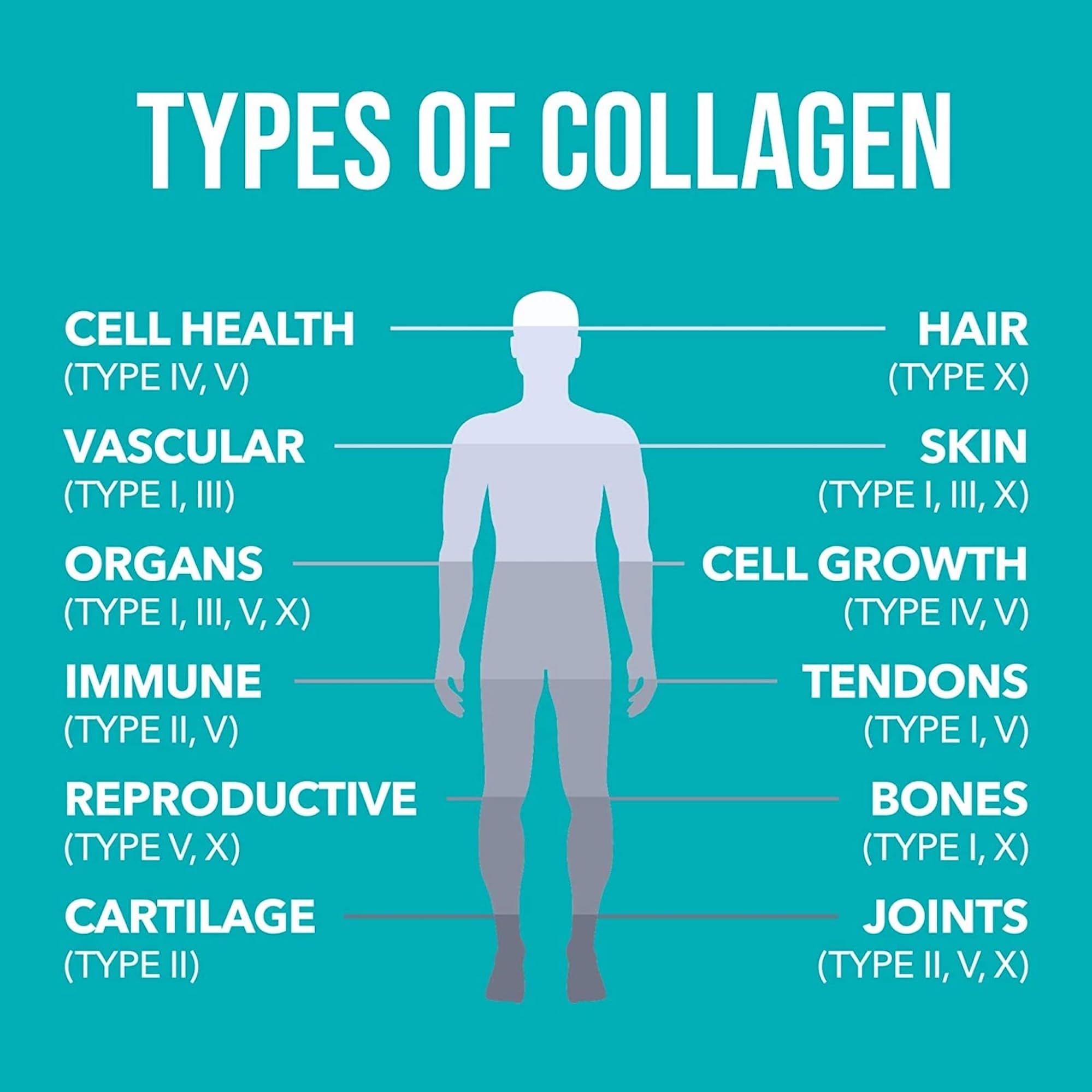 NaturesPlus Collagen Peptides Powder - Premium Hydrolysed Collagen Supplement, 6 Major Types Nature's Plus