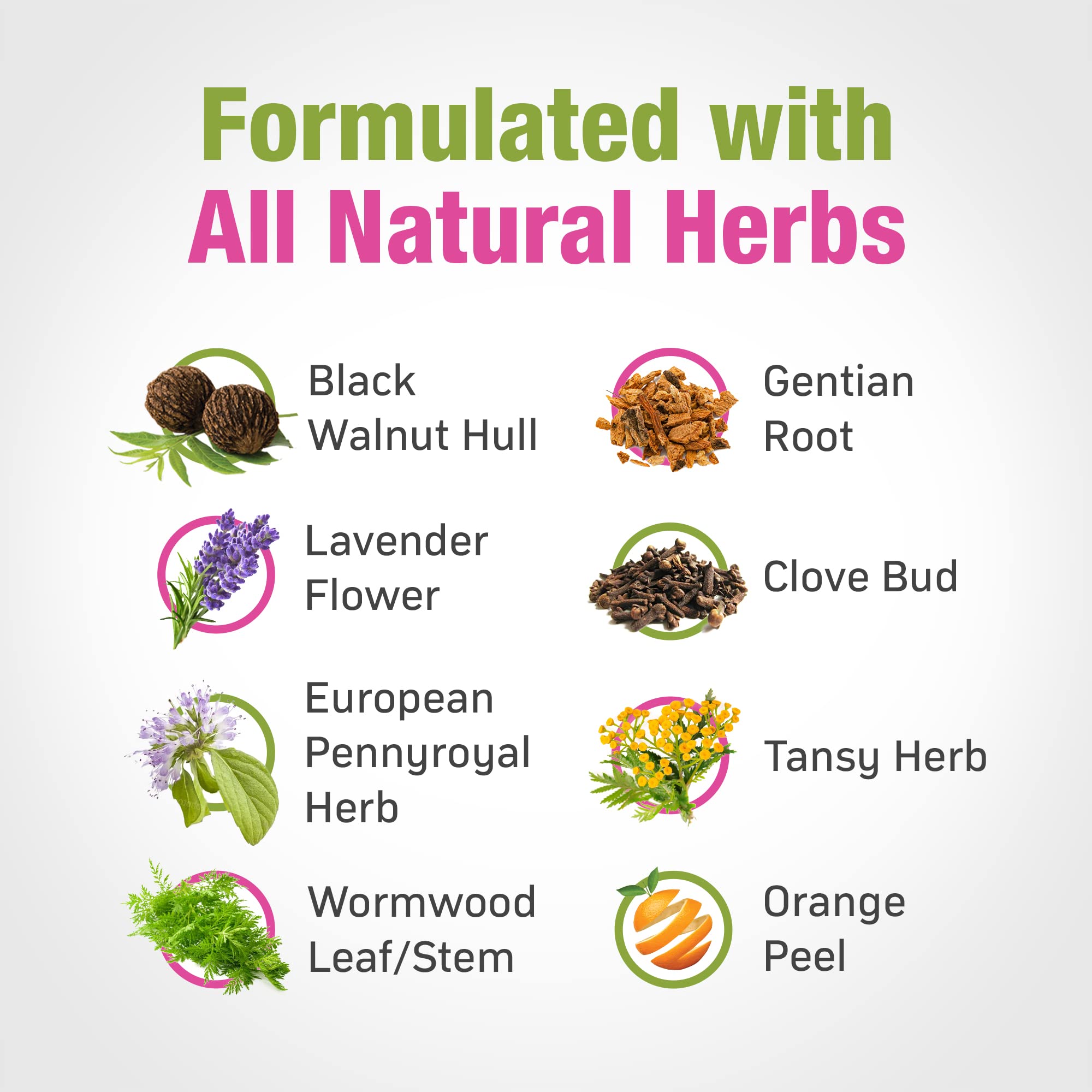 Cedar Bear - Intestinal Cleanse for Kids, Liquid Herbal Supplement for Detox Cleanse Cedar Bear Naturales