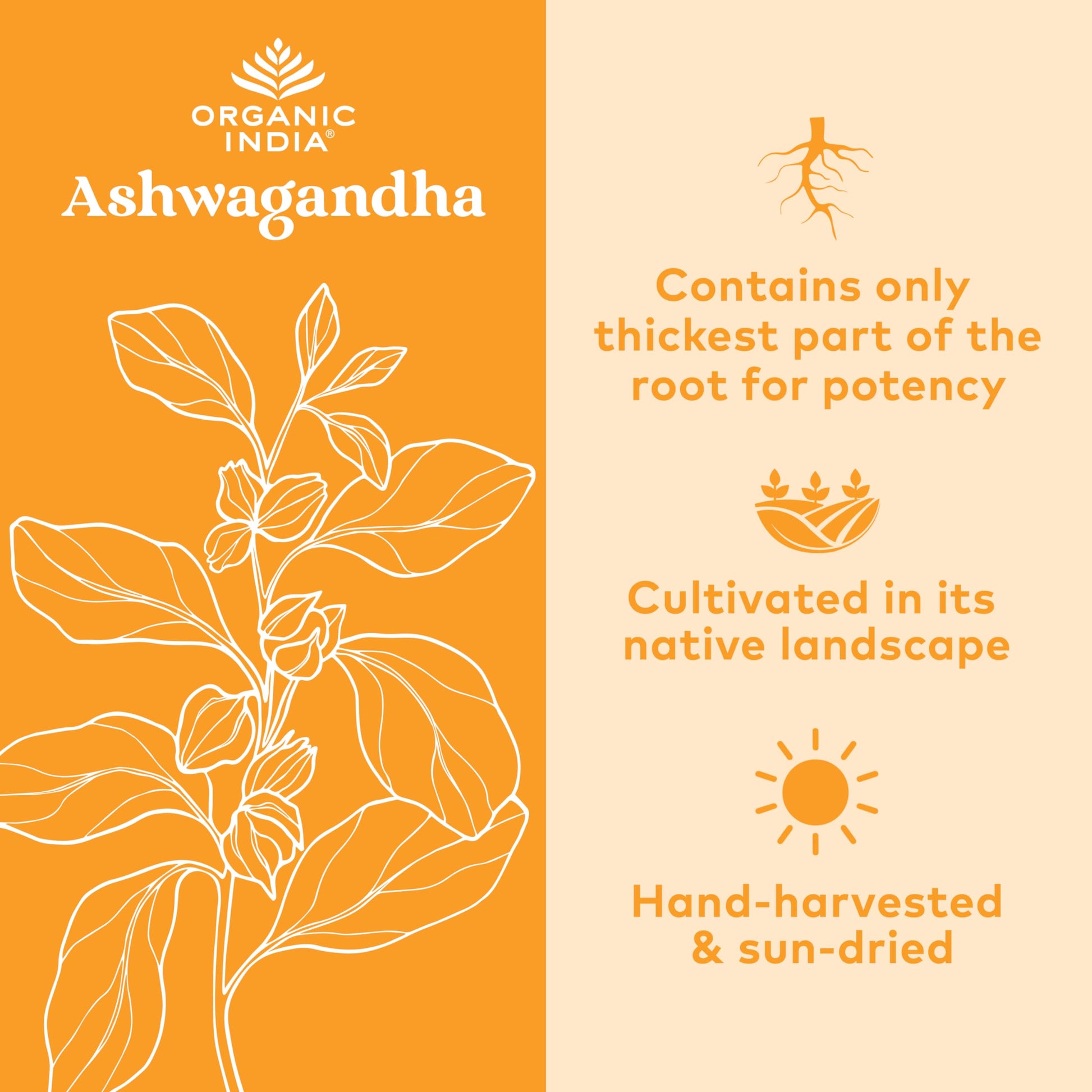 Organic India Ashwagandha Herbal Supplement - Stress Response Support, Vegan, Gluten Organic India