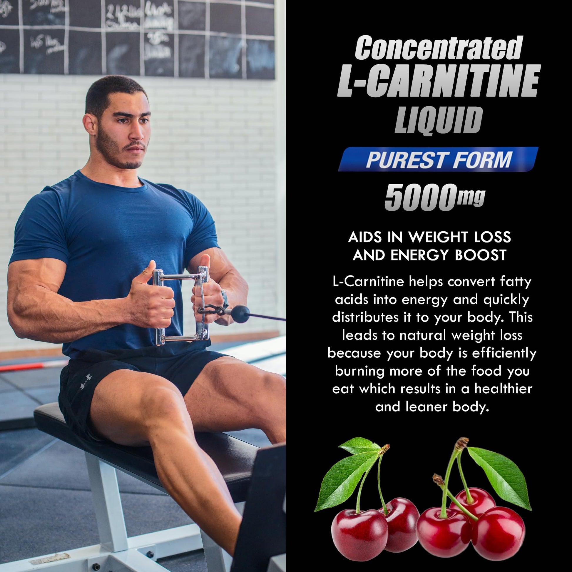 Parker Naturals L-Carnitine 5000 Mg Premium Dietary Supplement Liquid - 16 Oz All Natural Parker Naturals