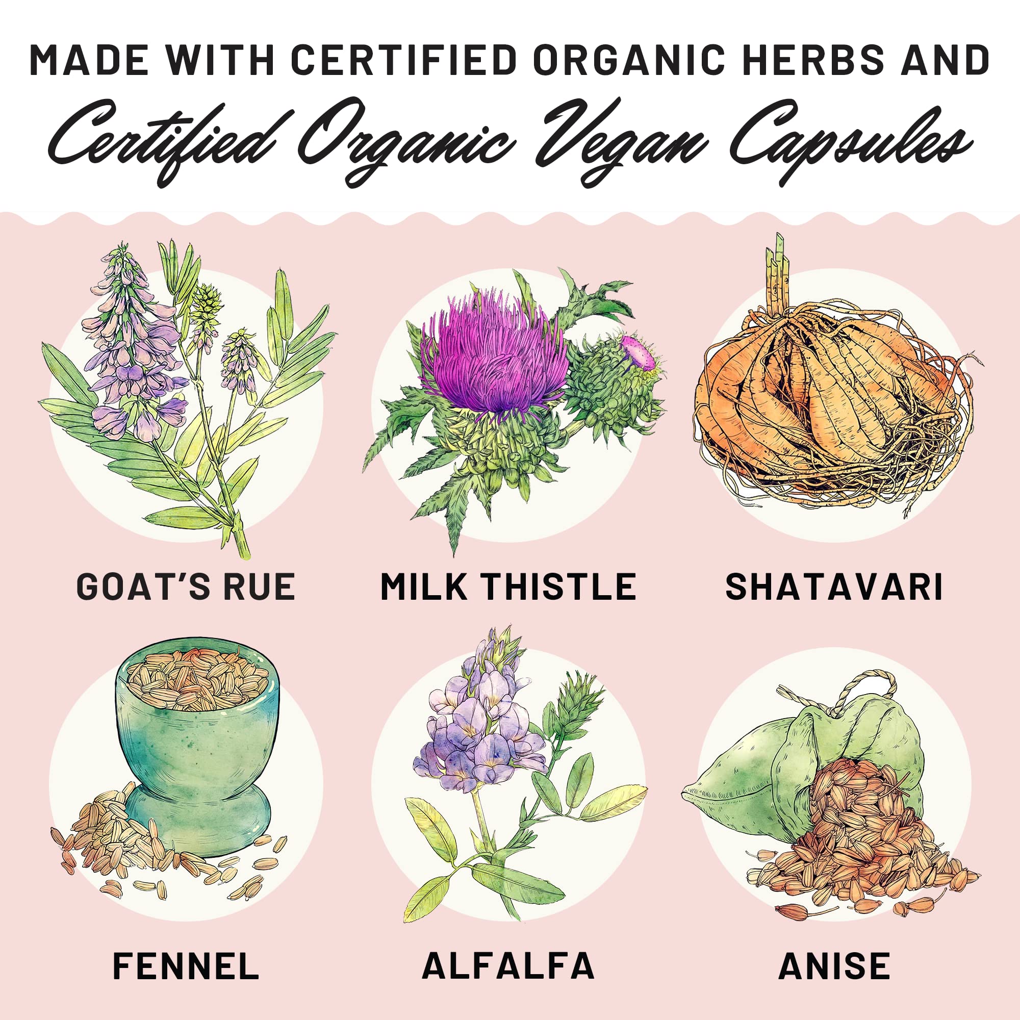 Legendairy Milk Liquid Gold Lactation Supplement, Organic Goat's Rue Lactation Legendairy Milk