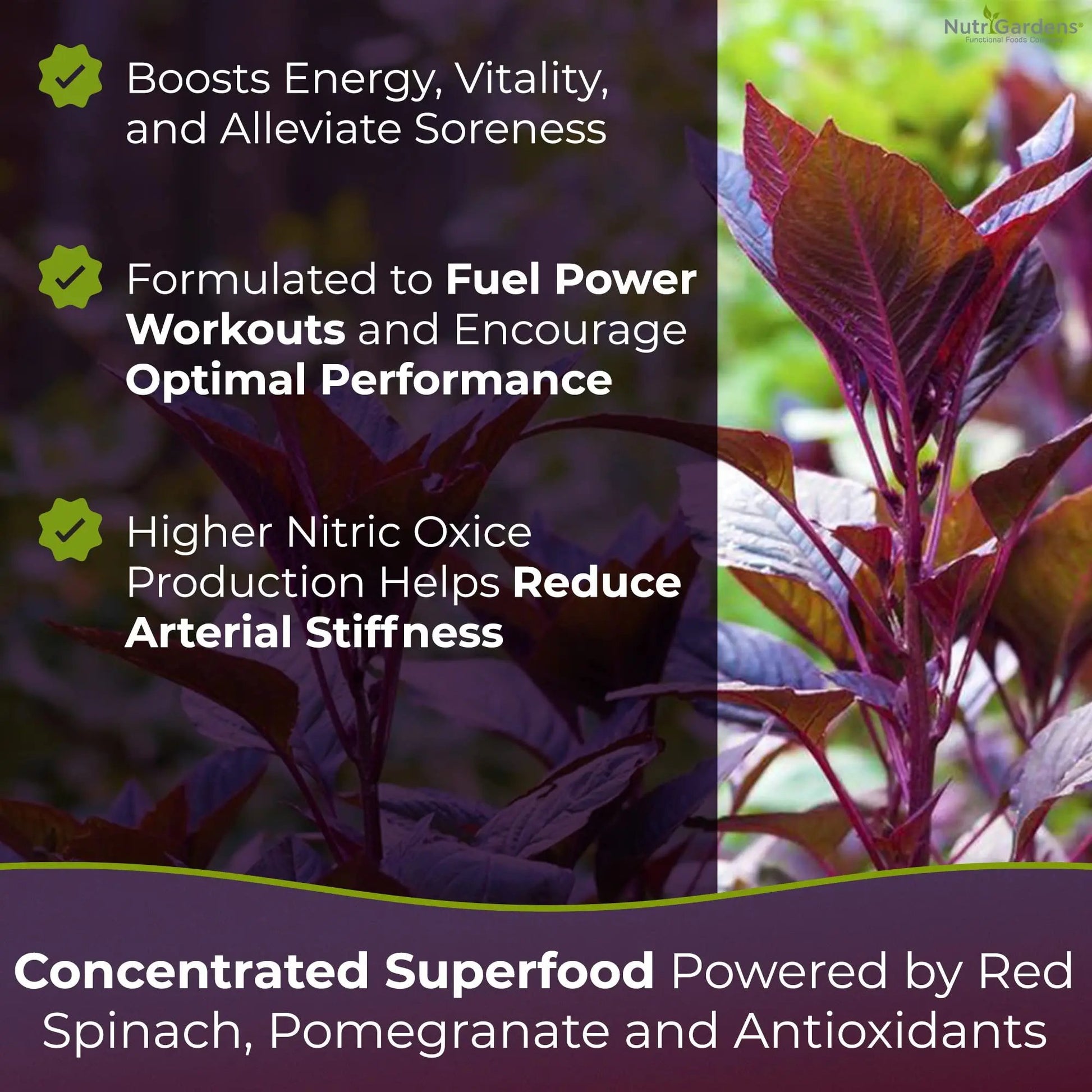 Nutrigardens Spin Boost Nitric Oxide Red Spinach Nitrate Pre-Workout Powder Concentrated Super Juice Powder with Beets for Athletic Endurance