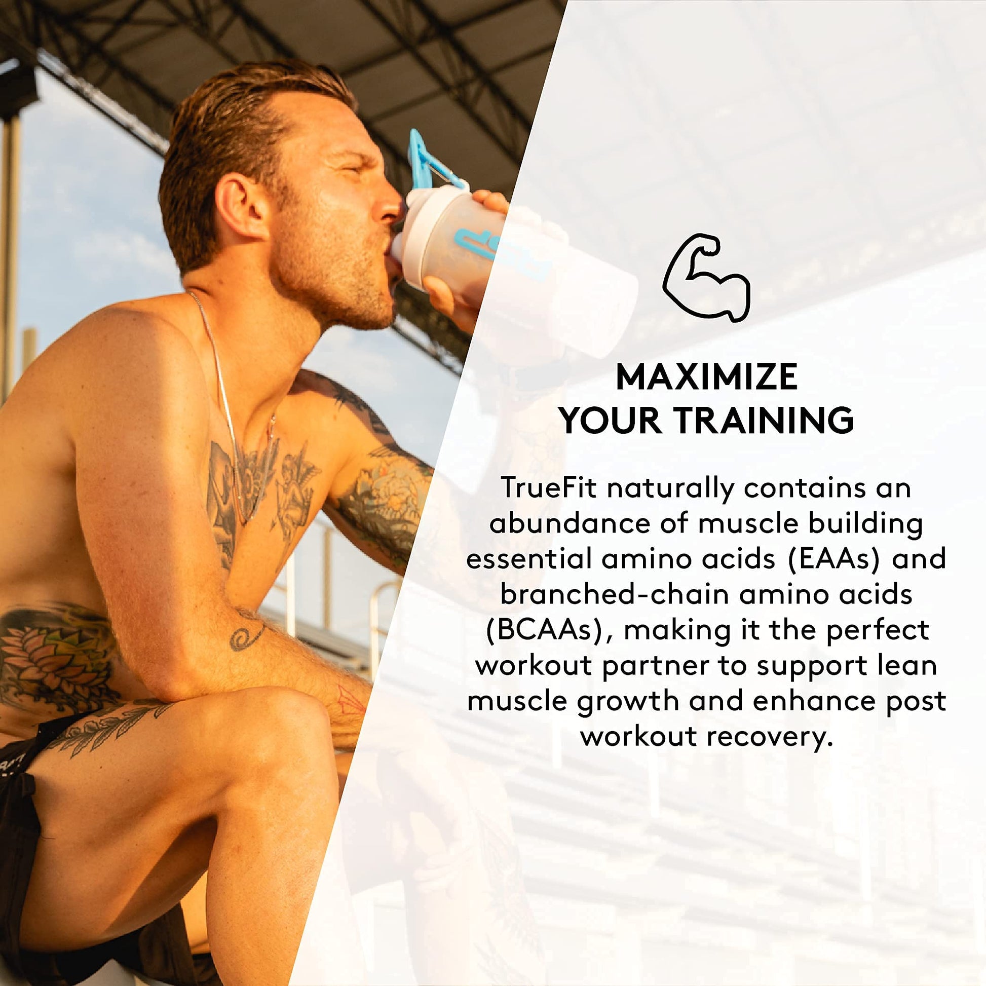 TrueFit Meal Replacement Shake Protein Powder, Grass Fed Whey + Organic Fruits RSP NUTRITION