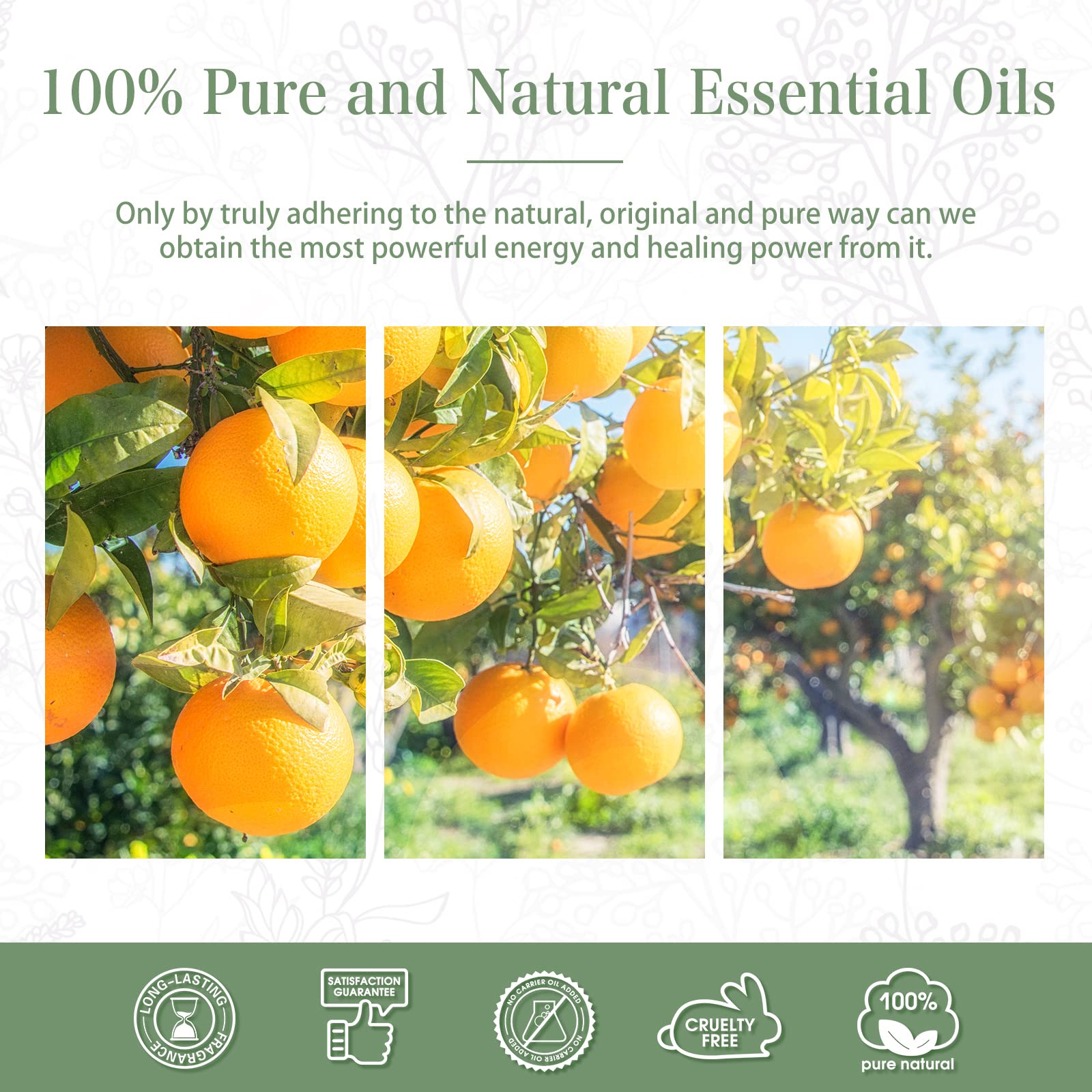 PHATOIL Sweet Orange Essential Oil 100ML, Pure Premium Grade Sweet Orange Essential PHATOIL