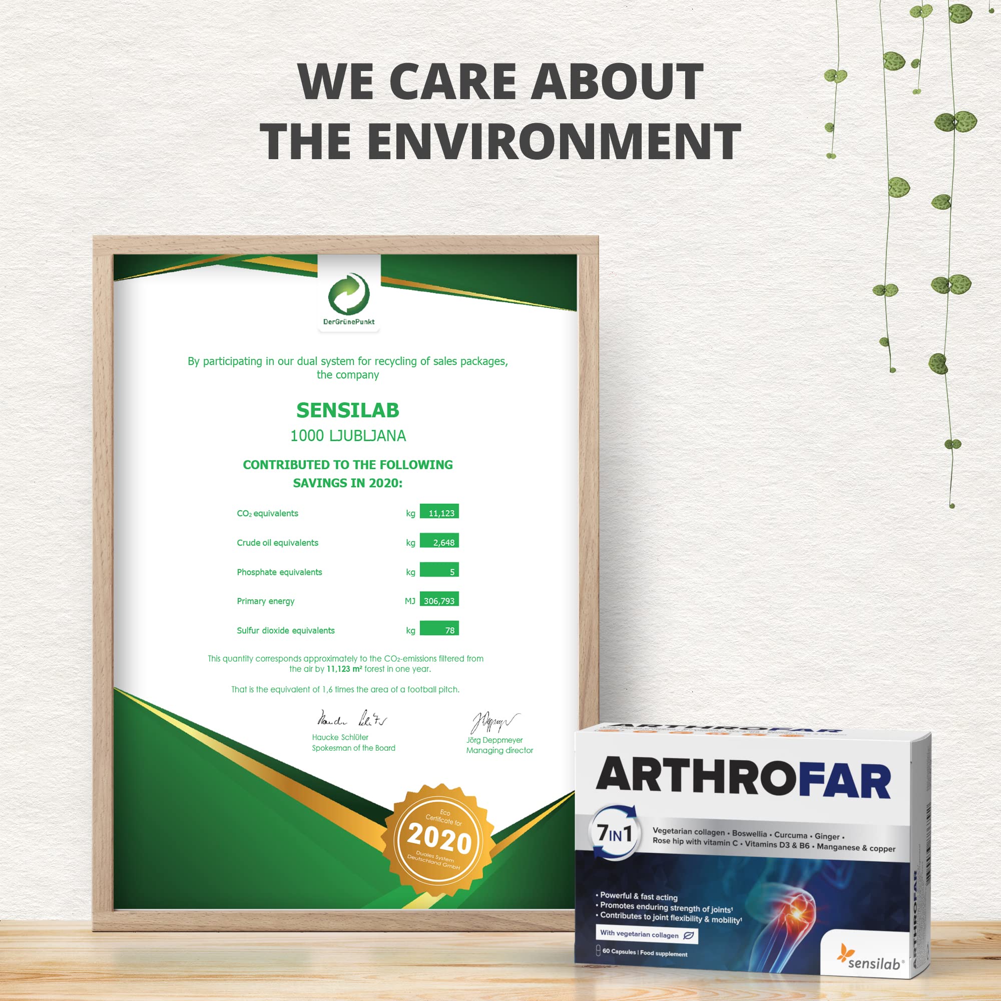 Boswellia Serrata Capsules | Sensilab ArthroFar | Joint Care Supplements Sensilab