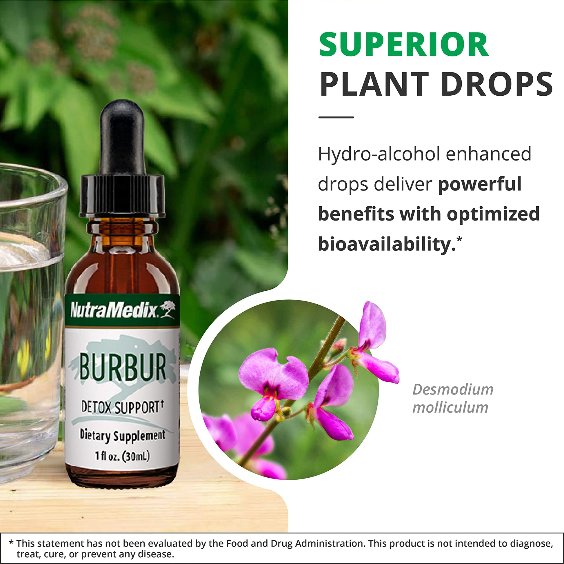 NutraMedix Burbur Detox Support Supplement - Desmodium Molliculum Extract Drops NutraMedix