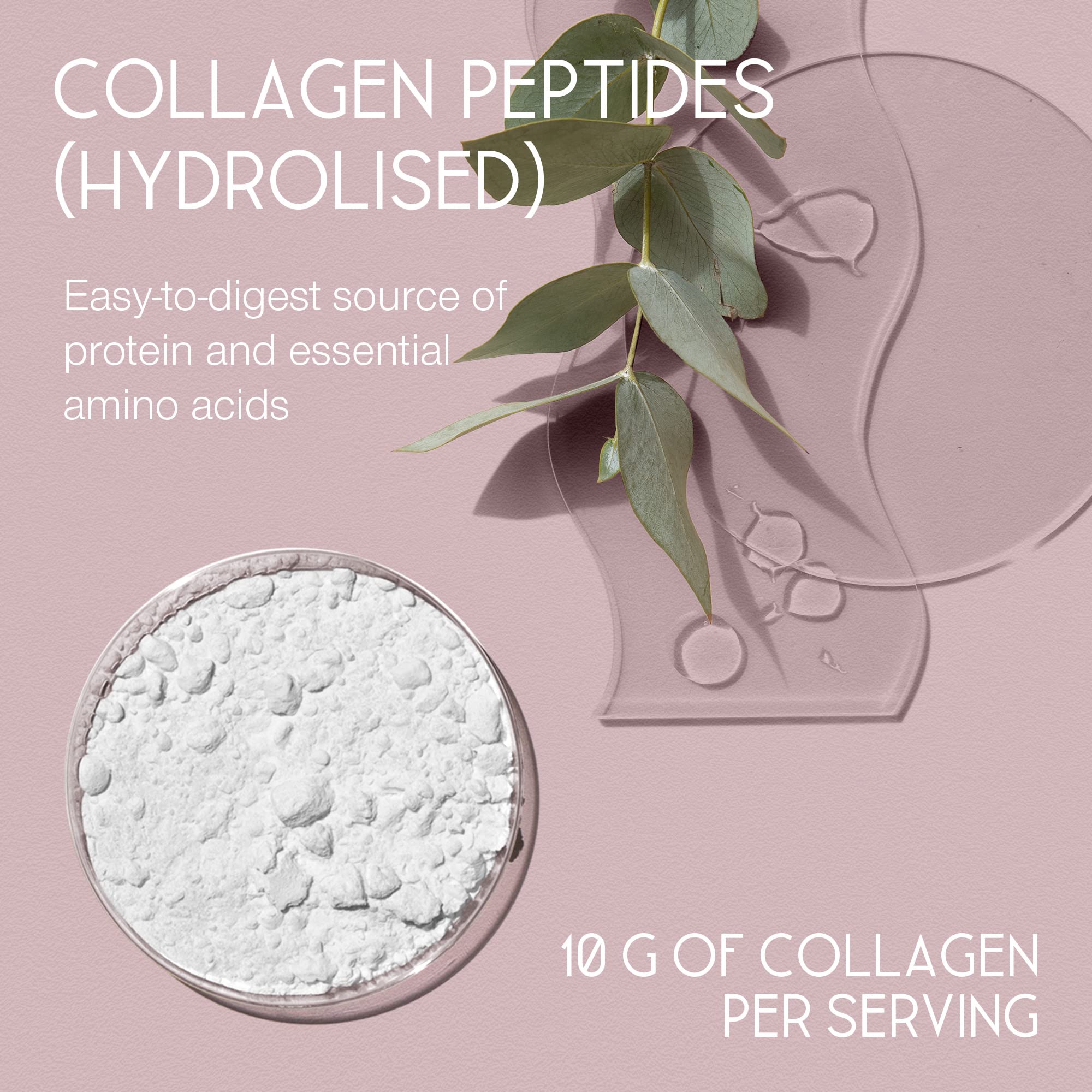 Premium Collagen Powder - Collagen Supplements for Women & Men - Pure Bovine Collagen Peptides 400g SuperSelf