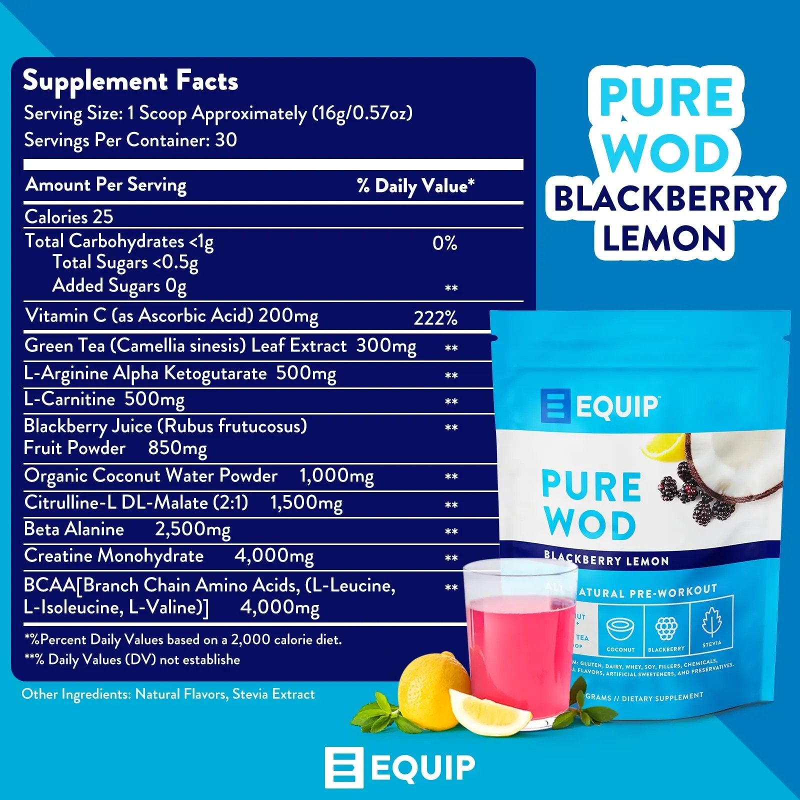 Equip Foods PureWOD All Natural Pre-Workout Powder - 200mg Green Tea Caffeine, BCAA Equip