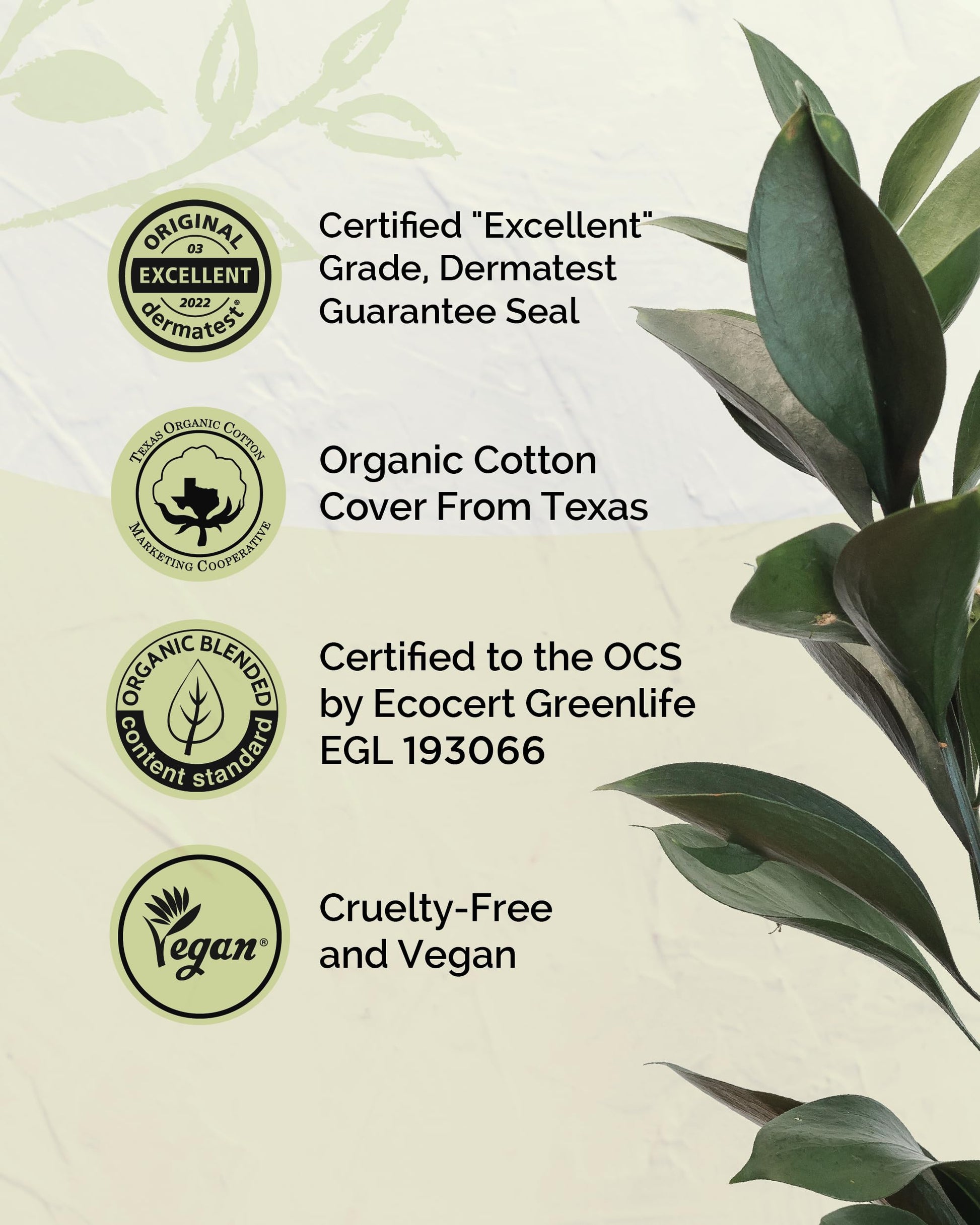 LABON Premium Vegan Organic Sanitary Pads (Regular, 25cm, 32 Counts) - 100% Organic Cotton Cover OCBON