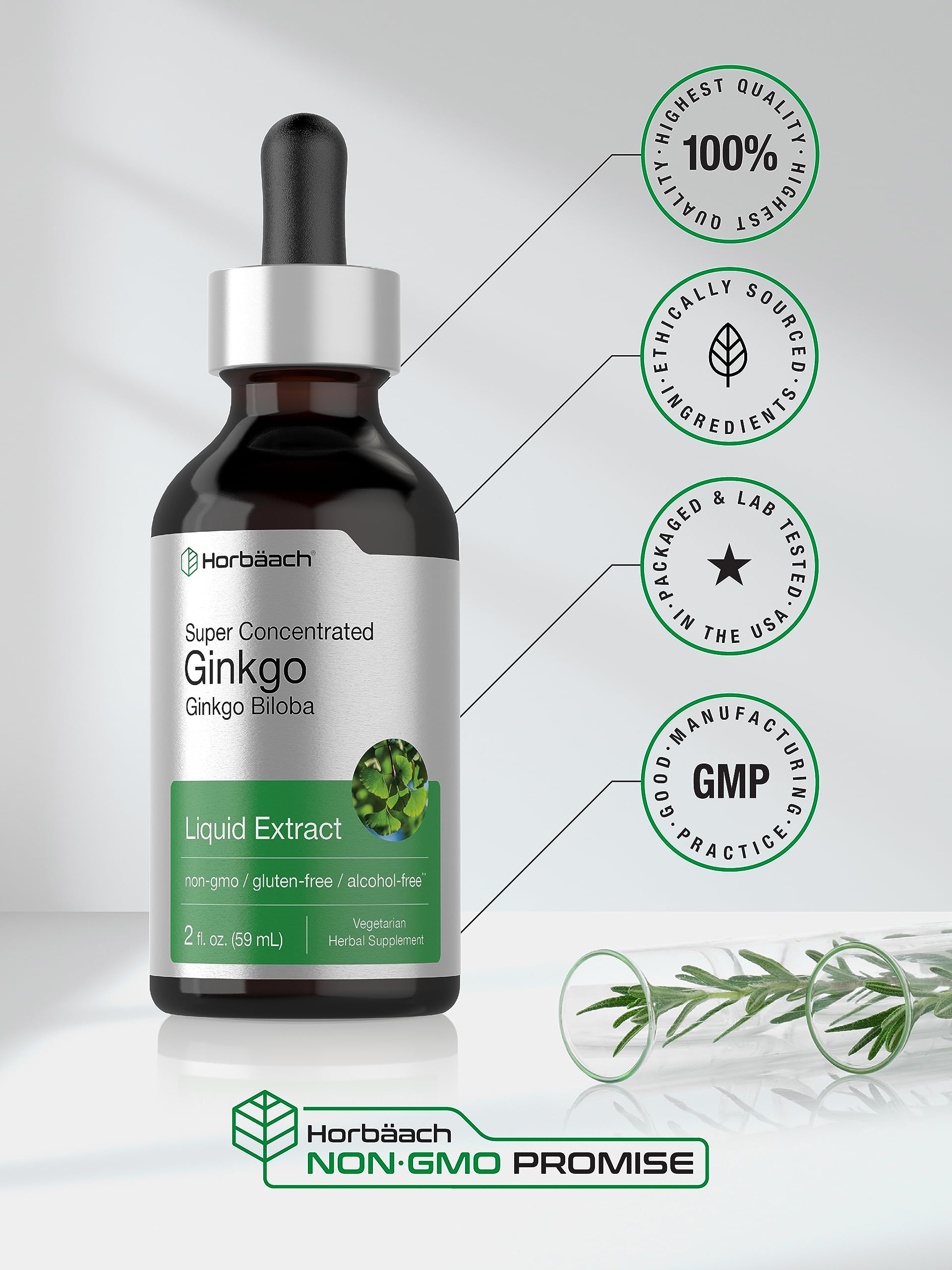 Ginkgo Biloba Extract Liquid 2 fl oz | Alcohol-Free Herb Supplement | Vegetarian Horbäach