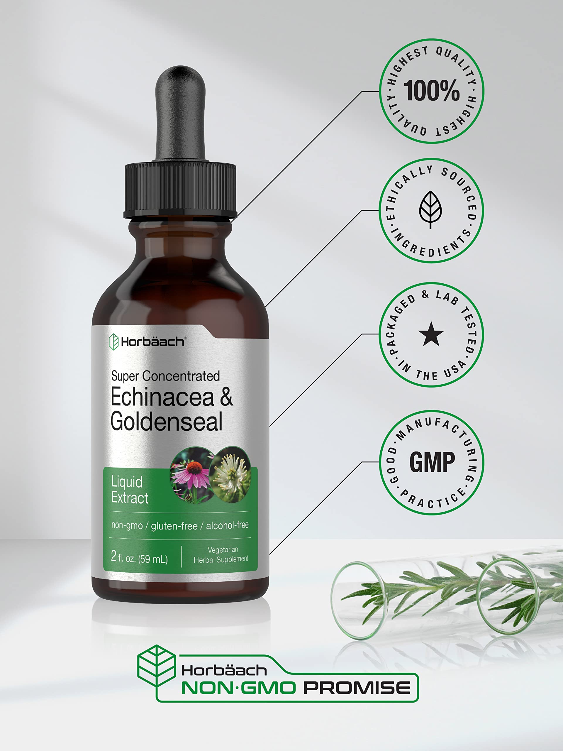 Echinacea Goldenseal Liquid Extract | 2 fl oz | Alcohol Free Tincture Drops | Vegetarian Horbäach