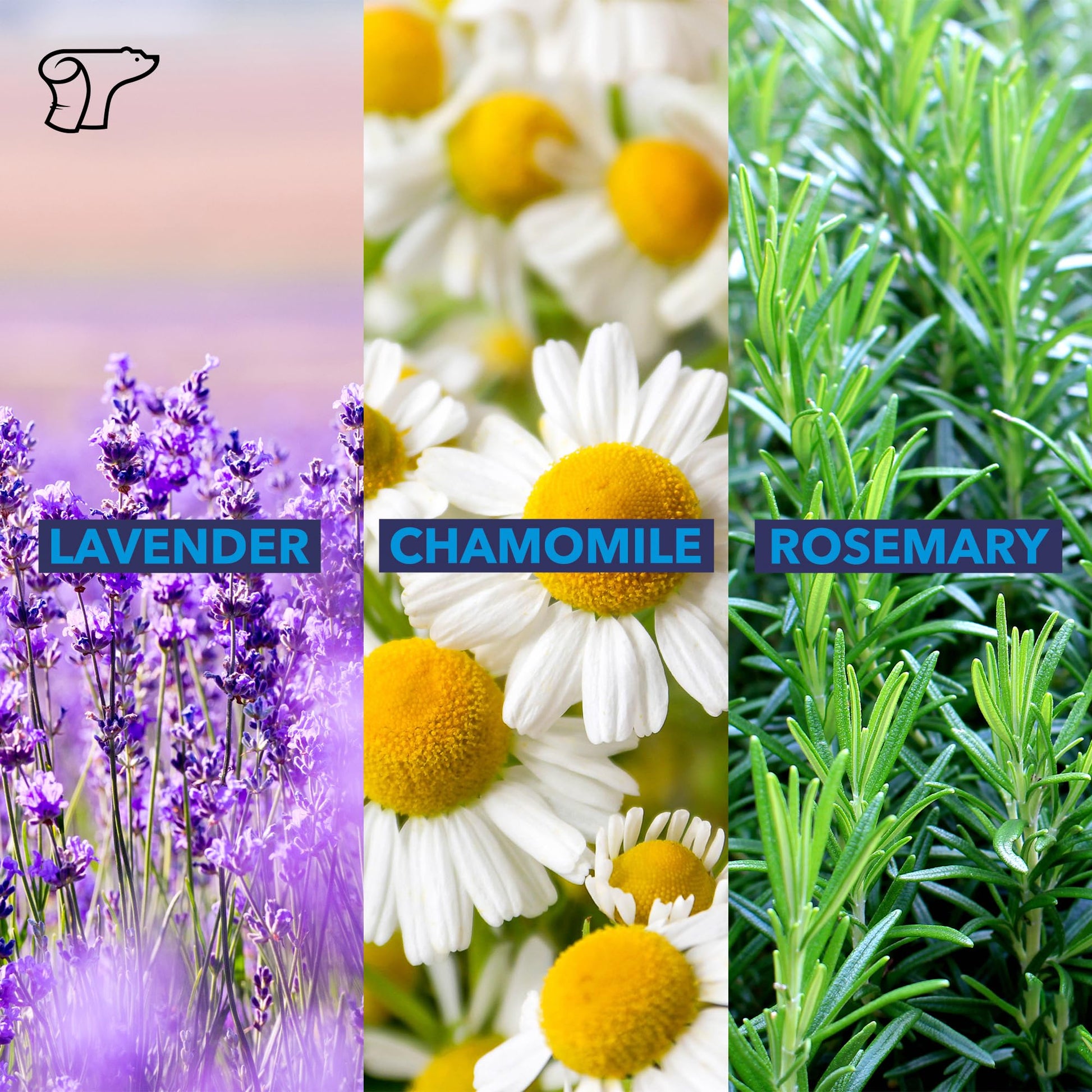 TheraICE Soothing Head Stick 10 ml (.33-Oz) Essential Oil Roll on Aromatherapy TheraICE Rx