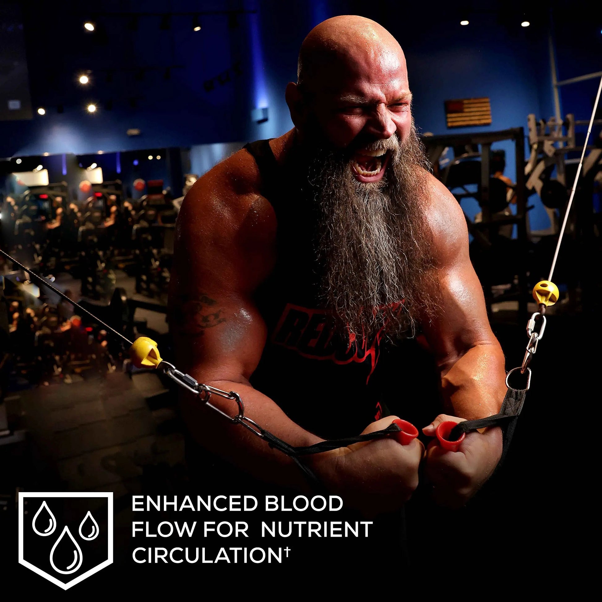 REDCON1 Big Noise RTD Pre Workout Drink, Rainbow Candy - Caffeine-Free Ready-to-Drink Preworkout to Improve Strength + Pumps - Niacin + Citrulline Malate Nitric Oxide Support (12 Bottled Drinks)