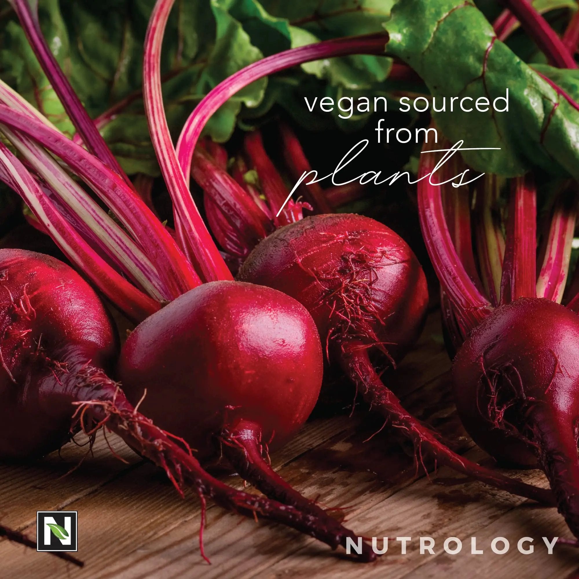 Nutrology Beet Active, Natural Pre-Workout Powder, Supports Energy, Endurance & Nitric Oxide Flow with Beet Powder, Yerba Mate & Electrolytes, Vegan Pre Workout, Passion Fruit Flavor, 30 Servings
