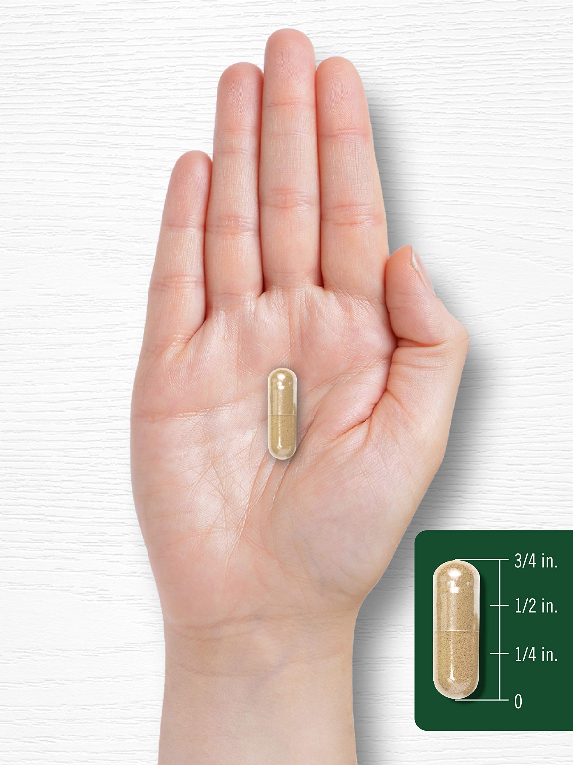 Carlyle Holy Basil Capsules 1600 mg | 200 Count | Tulsi Holy Basil Leaf Extract | Herbal Carlyle