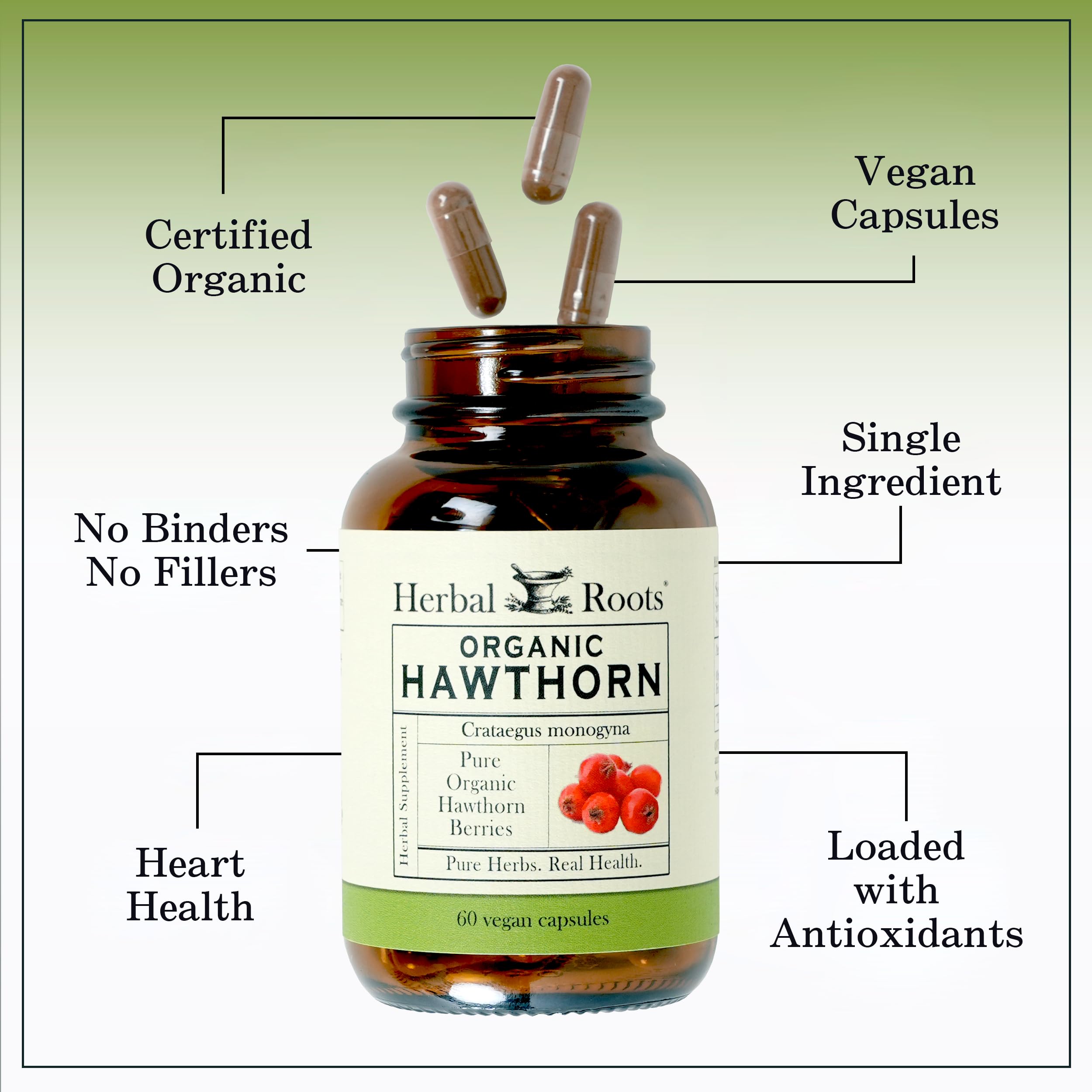 Herbal Roots Organic Hawthorn Berry Capsules | Extra Strength 1,200mg per Serving Herbal Roots