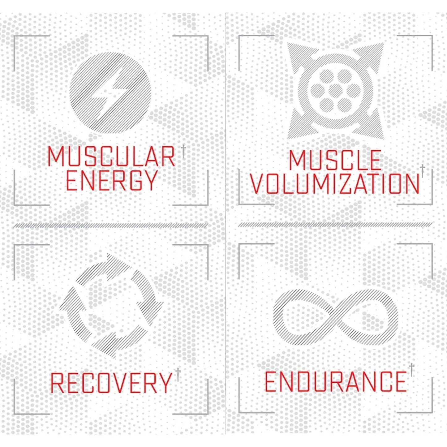 Purus Labs Foundation Series Citrulline Malate Powder | Active Amino Acid L-Citrulline | Strength, Volume, & Recovery | 100 Servings (Unflavored)