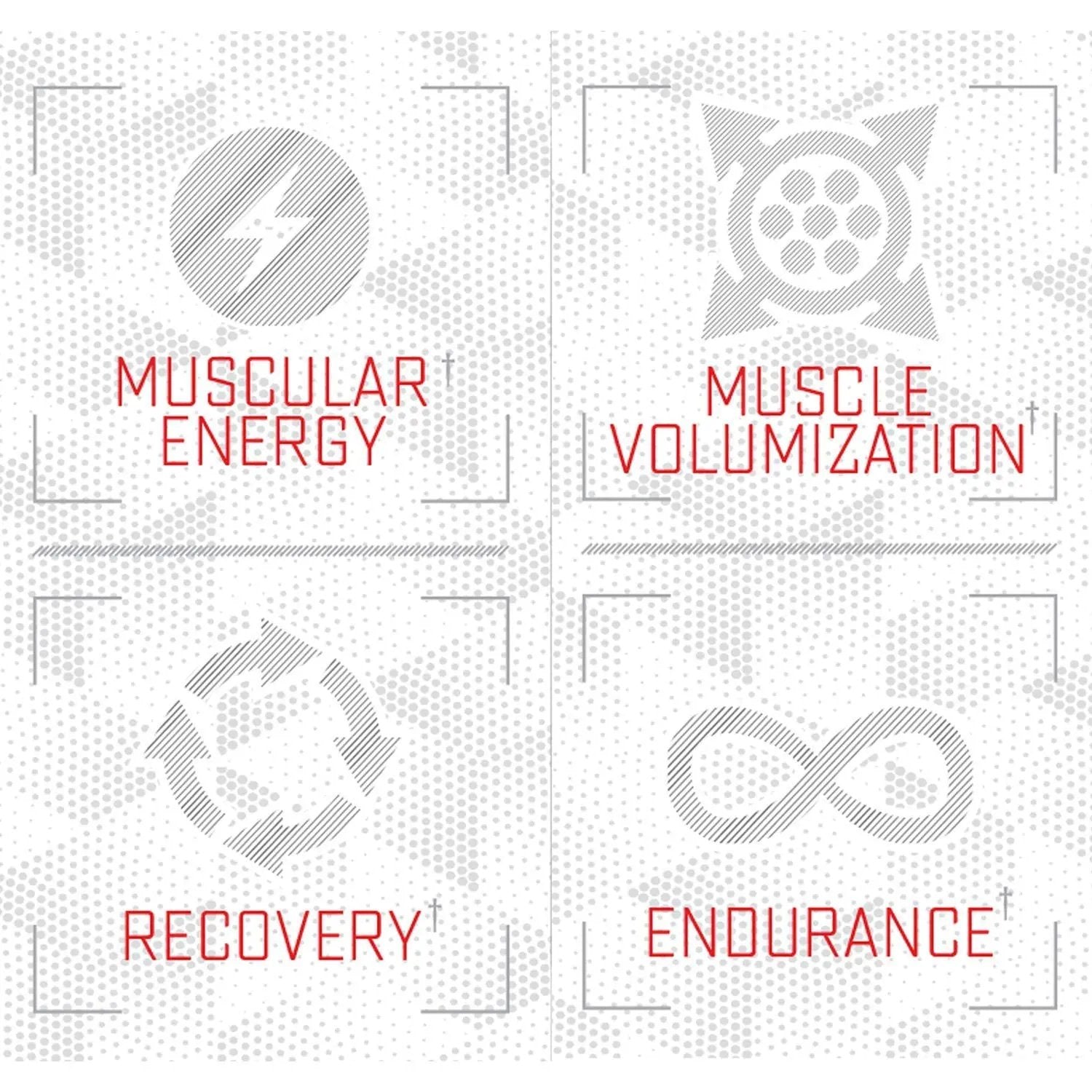 Purus Labs Foundation Series Citrulline Malate Powder | Active Amino Acid L-Citrulline | Strength, Volume, & Recovery | 100 Servings (Unflavored)