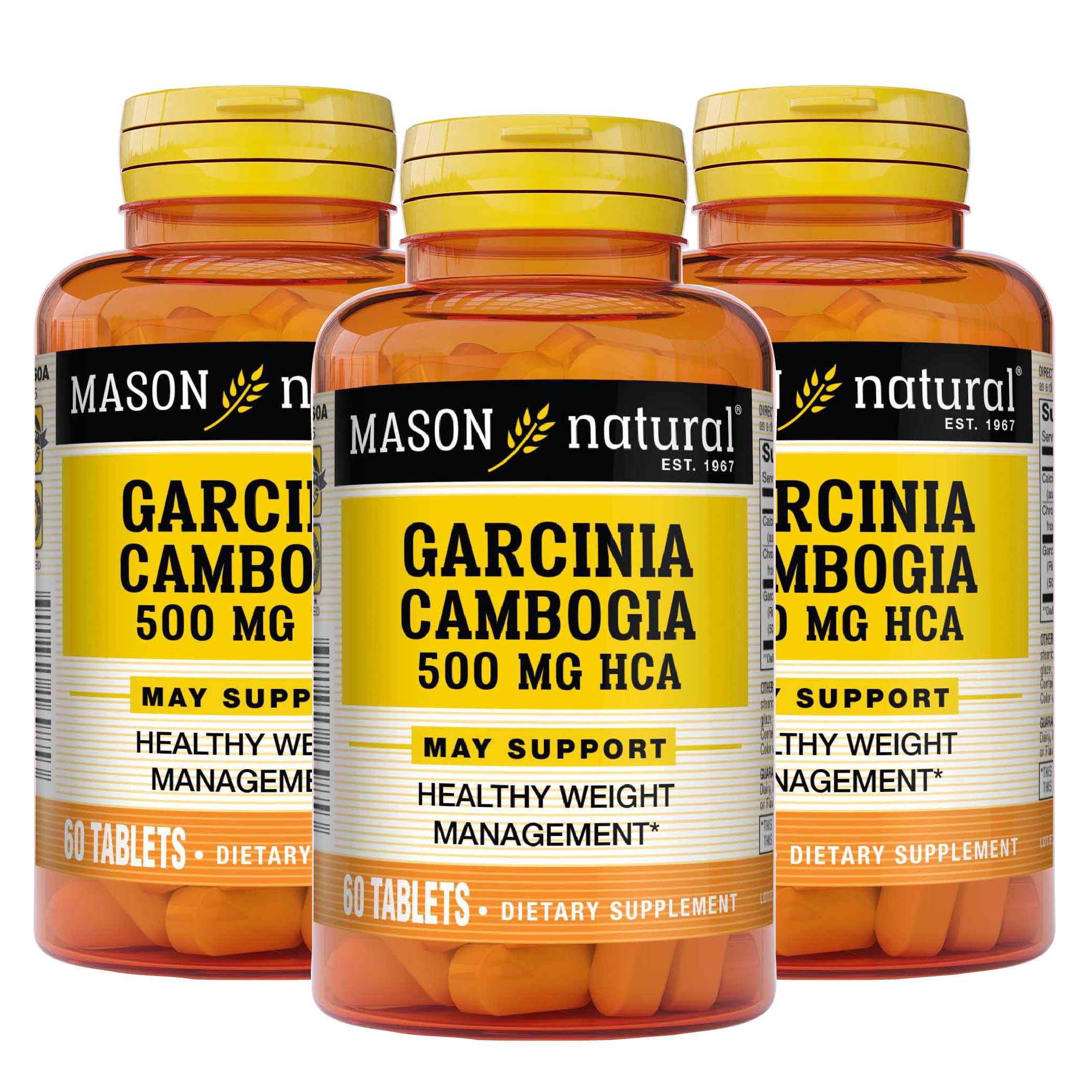 MASON NATURAL Garcinia Cambogia 500 mg HCA with Calcium and Chromium