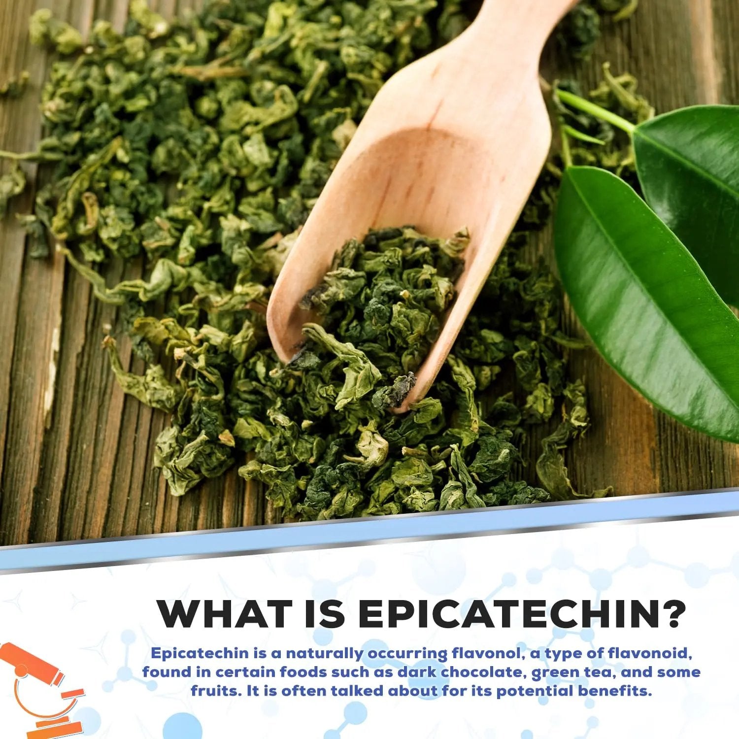 Muscle Empire Epicatechin Extract Capsules | EPI 250mg | 180 Pill Count | Supports Lean Muscle Growth, Nitric Oxide Booster & Myostatin Inhibitor