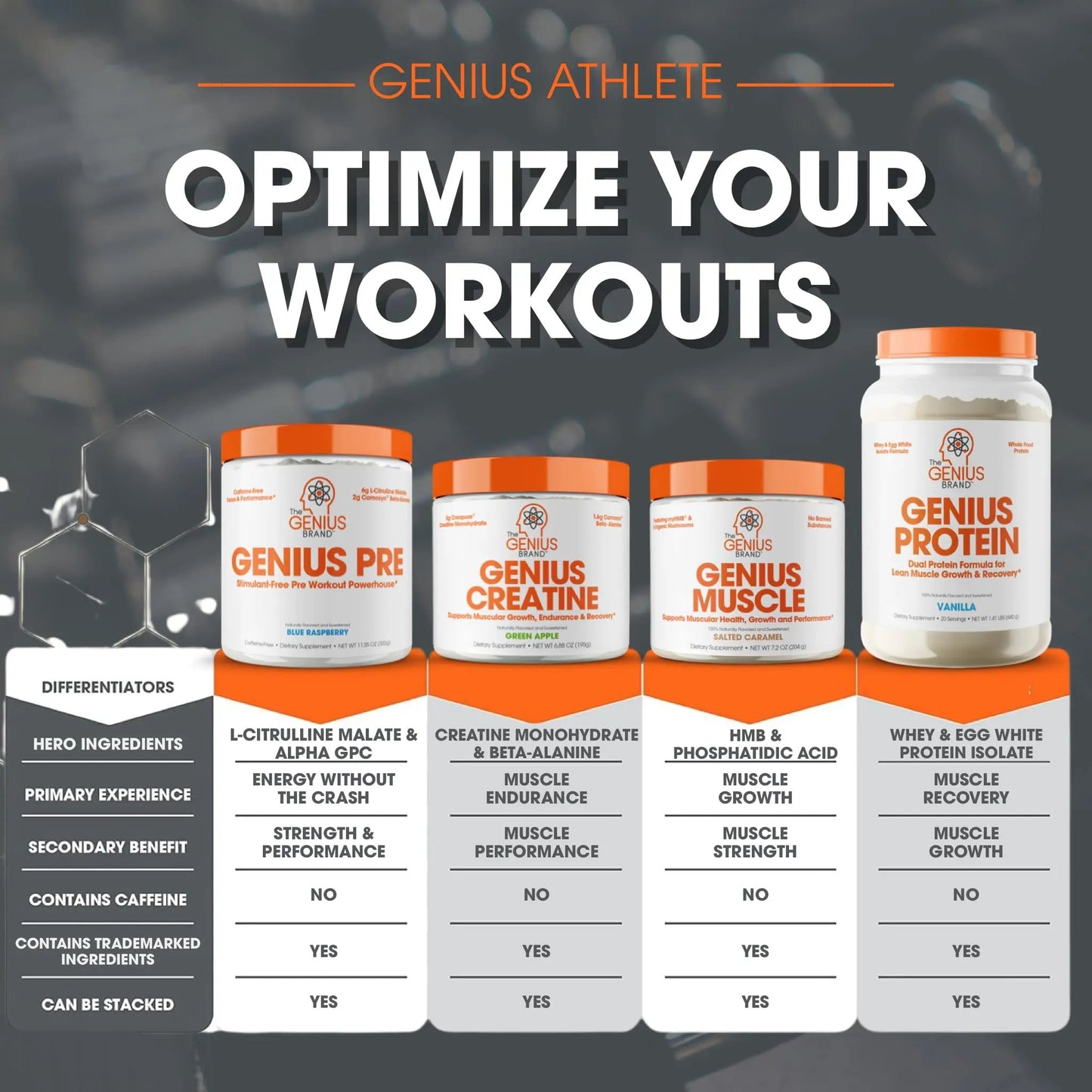 Genius Pre Workout Powder, Sour Cherry, and Genius Micronized Creatine Monohydrate Powder, Unflavored, All Natural Nootropic Pre Workout and Post Workout Supplement Stack