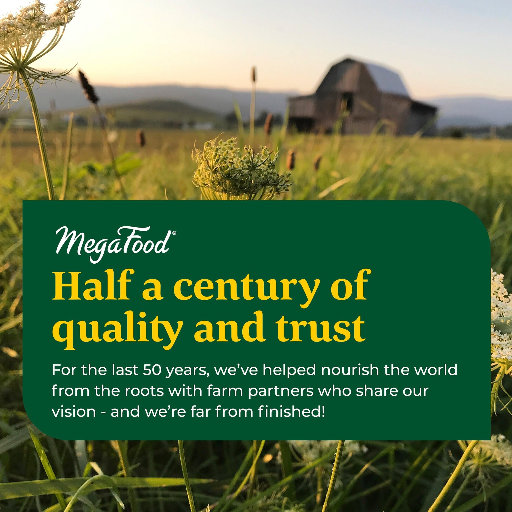 MegaFood Women's 55+ One Daily Multivitamin for Women with Vitamin A, Vitamin C MegaFood