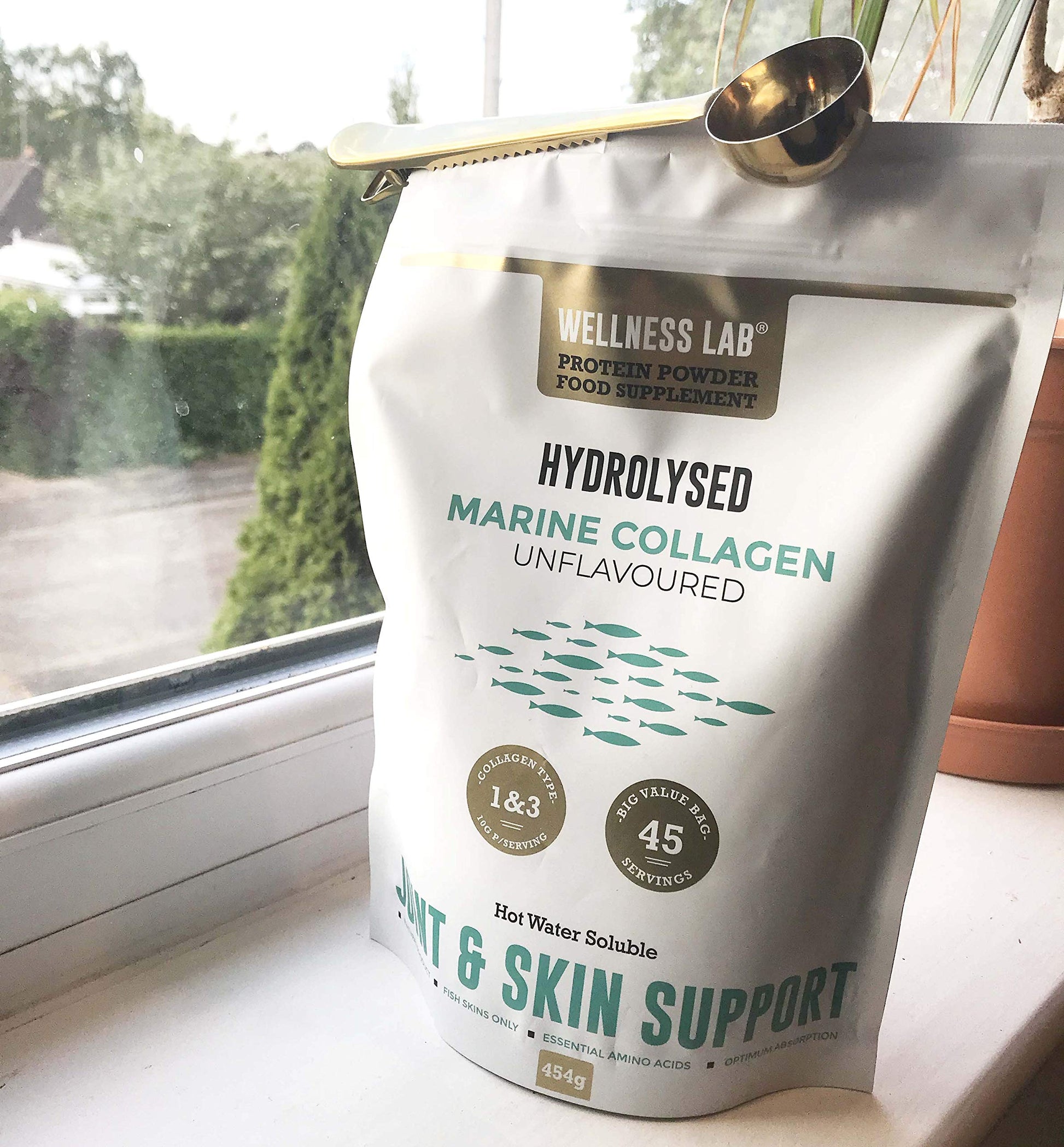 Cleanest Marine Collagen Peptides | Wellness Lab 454g | Type I,III | Highest Bioavailability Hydrolysed Protein Wellness Lab