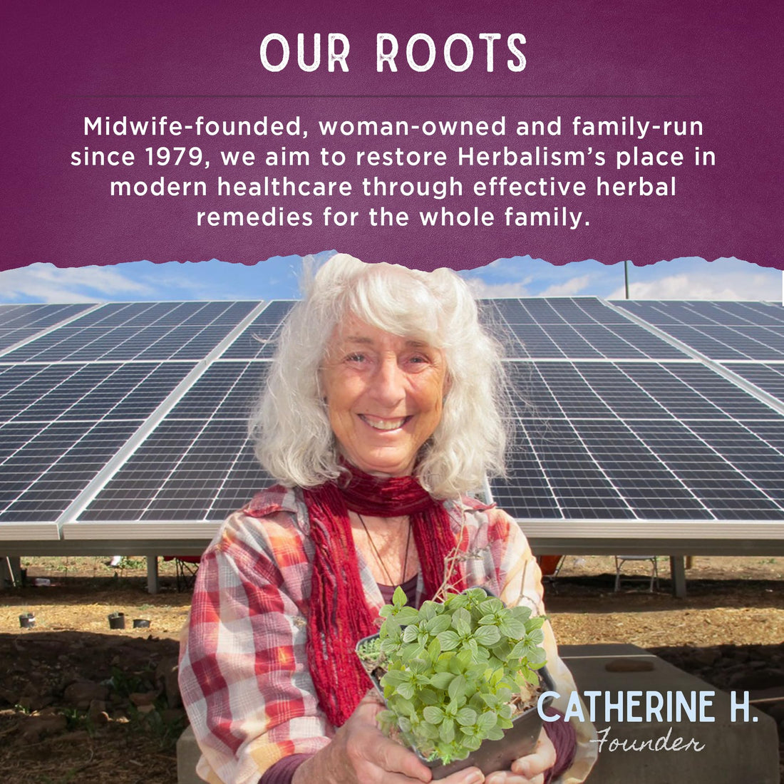 WishGarden Herbs Cycle Changes Herbal Menopause Support - Plant-Based Supplement w/Black Cohosh