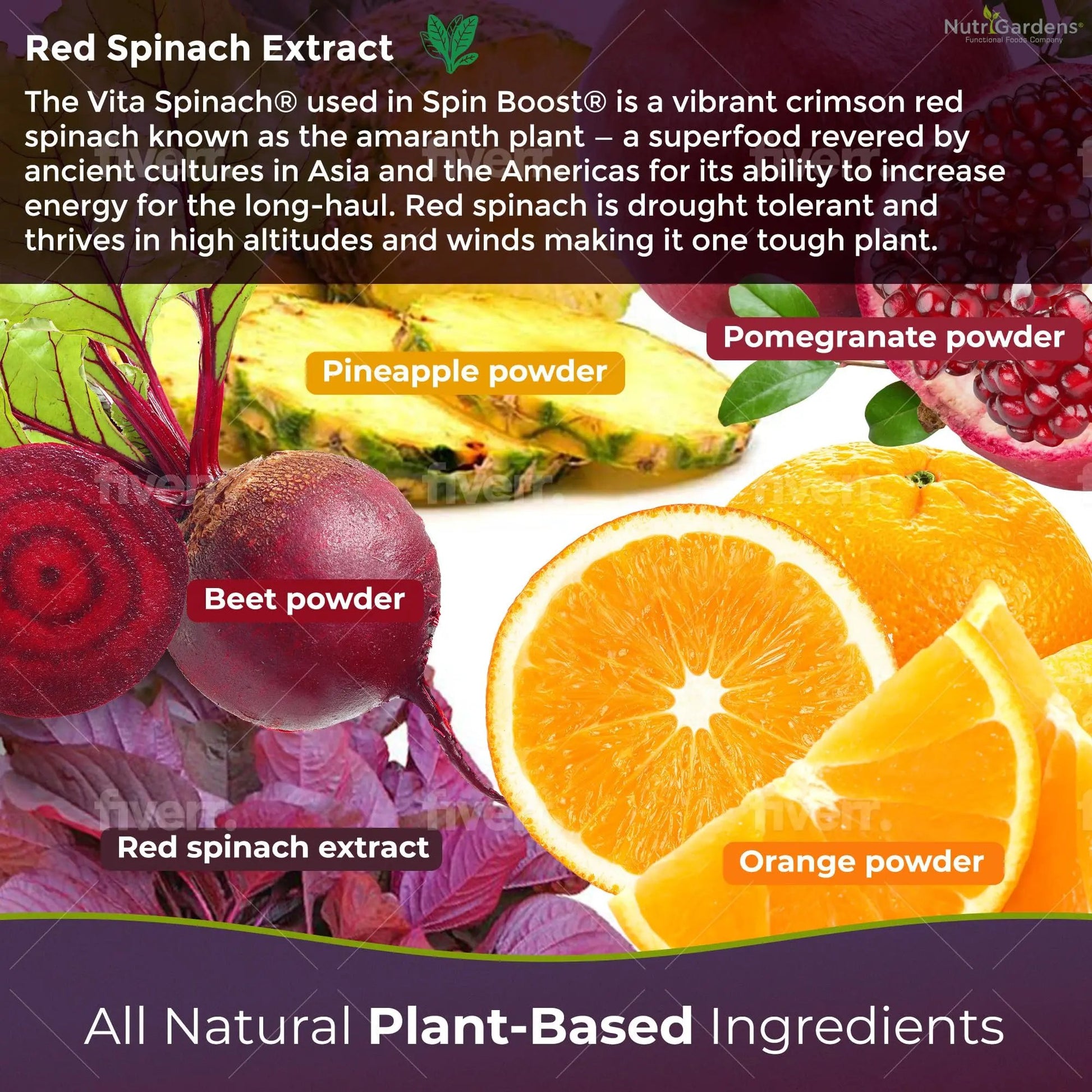 Nutrigardens Spin Boost Nitric Oxide Red Spinach Nitrate Pre-Workout Powder Concentrated Super Juice Powder with Beets for Athletic Endurance