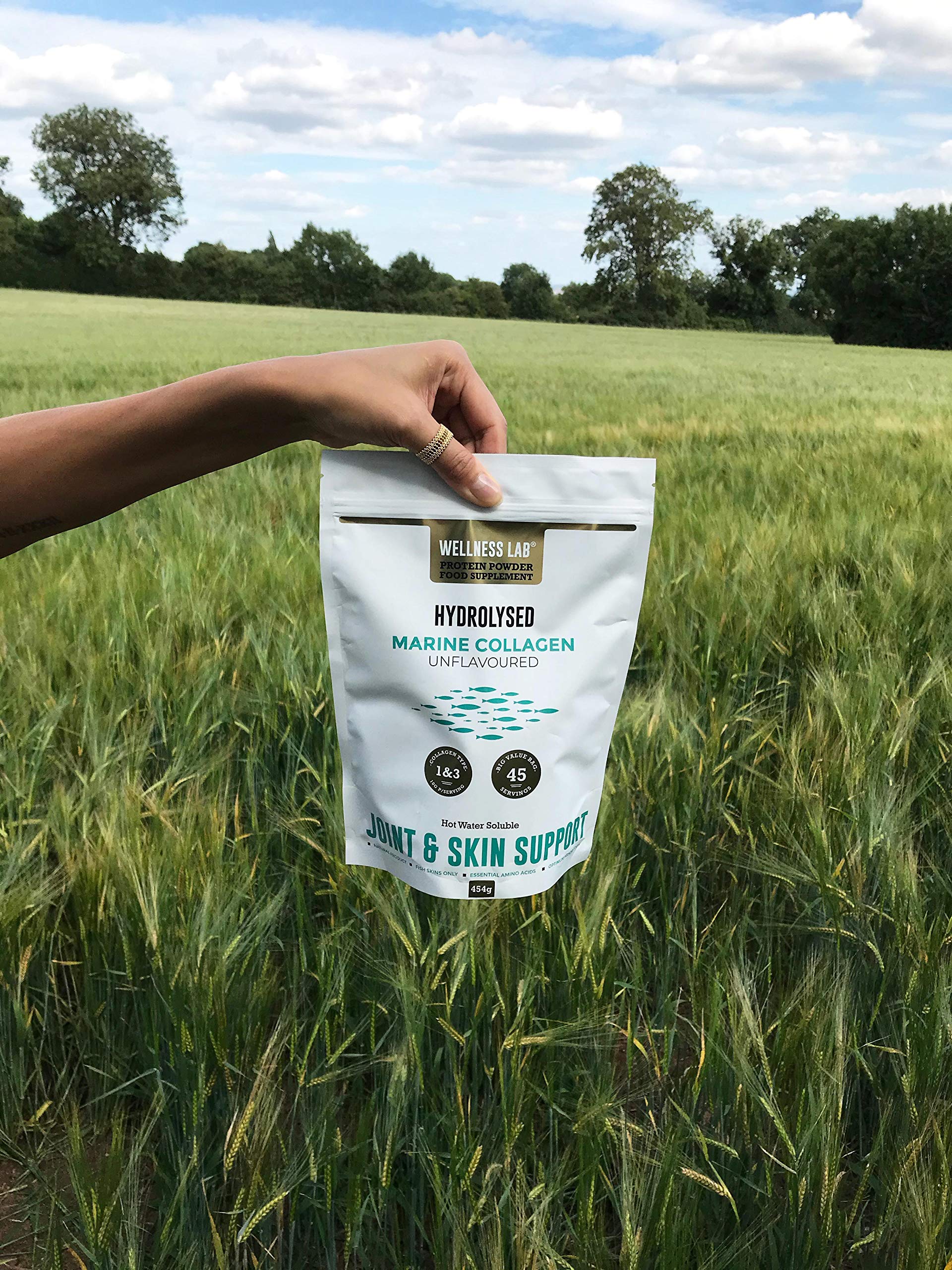 Cleanest Marine Collagen Peptides | Wellness Lab 454g | Type I,III | Highest Bioavailability Hydrolysed Protein Wellness Lab