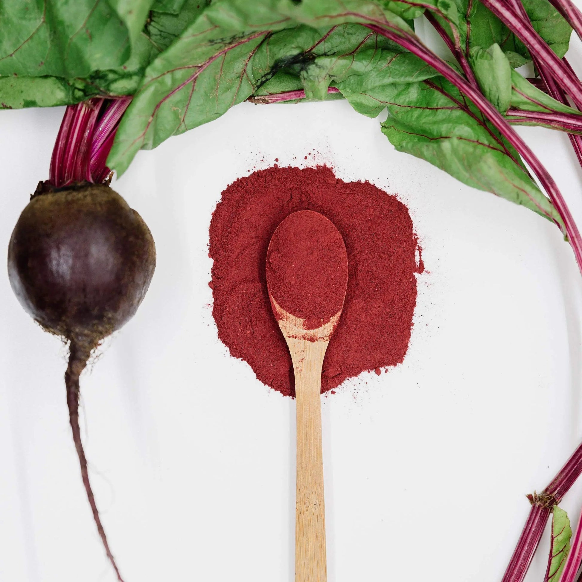 TruBaio Organic Beet Root Powder: Nitric Oxide Booster, Circulation and Stamina Increasing TruBaio