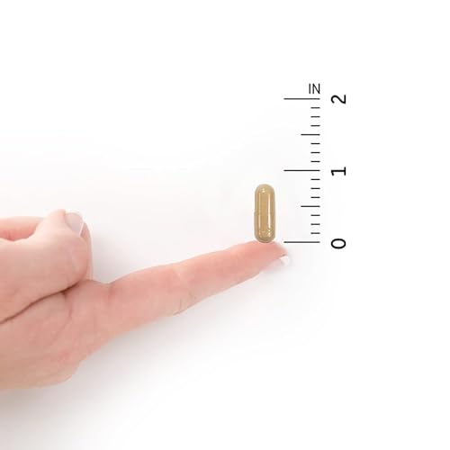 Garden of Life Probiotics for Women and Men - Raw Probiotics Colon Care 50 Billion Garden of Life