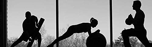 Dr. Schulze's | SuperProtein Plus | 100% Plant Protein Concentrate | Organic Powder Mix Dr. Schulze's