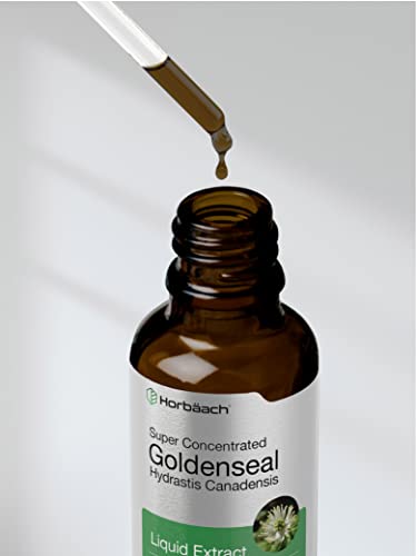 Goldenseal Root Extract Liquid | 1 fl oz Tincture | Super Concentrated | Alcohol Free Horbäach