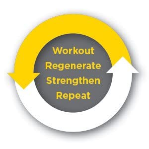 Dr. Schulze's | SuperProtein Plus | 100% Plant Protein Concentrate | Organic Powder Mix Dr. Schulze's