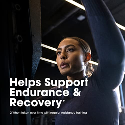 Optimum Nutrition Gold Standard 100% Whey Protein Powder, Vanilla Ice Cream, 2 Pound Optimum Nutrition