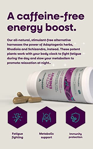 Vegetology Energy Supplements – Iron, Vitamin C & B2, B12, Folate & More – Vitamin Supple VEGETOLOGY